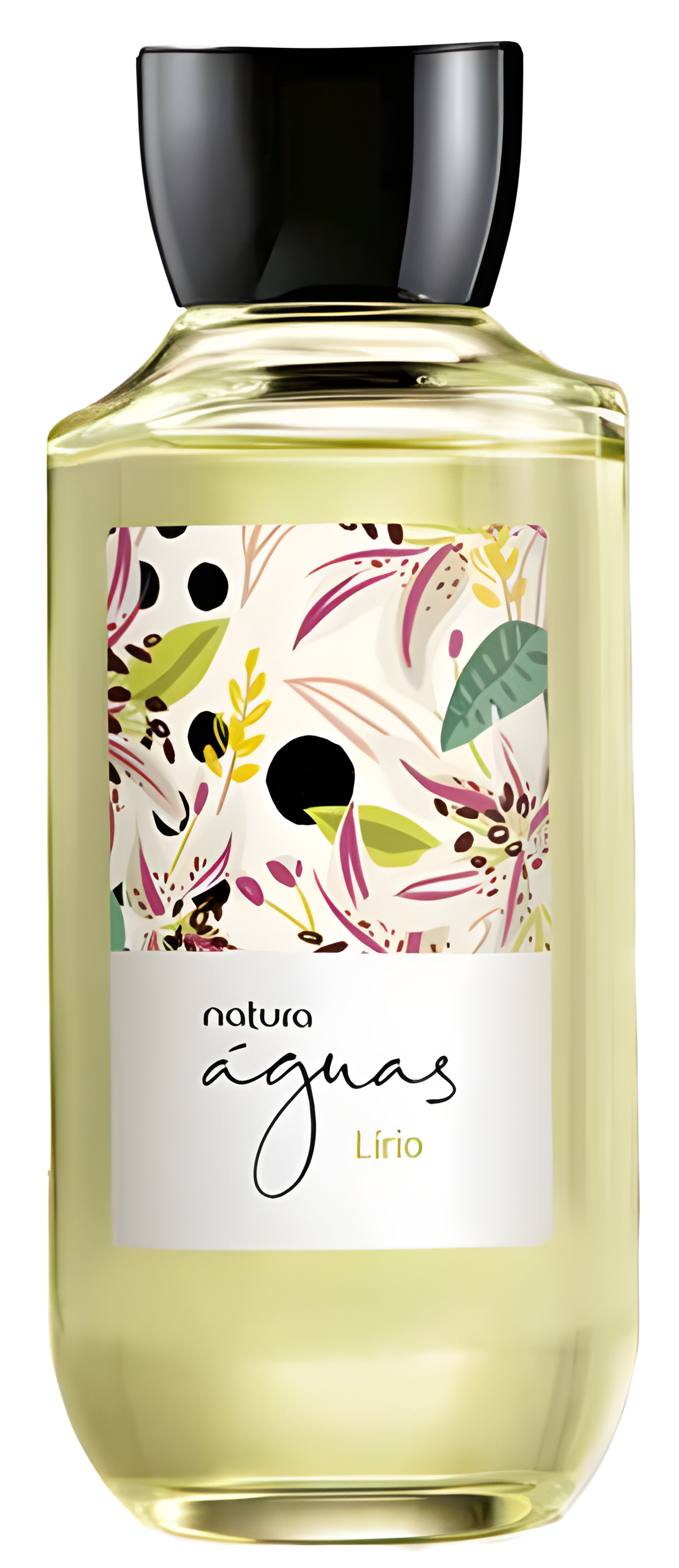 Picture of Lírio fragrance