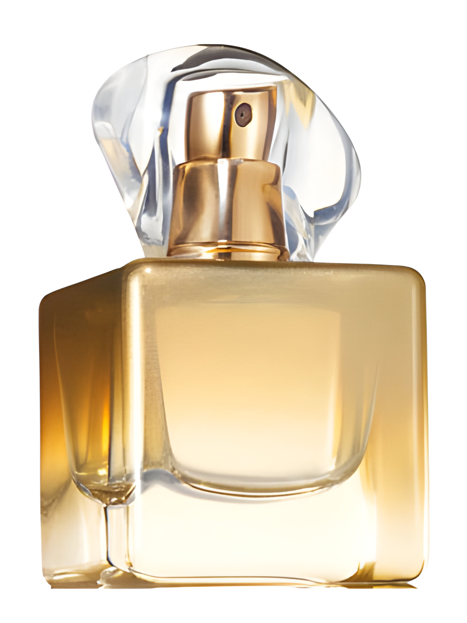 Picture of Today Tomorrow Always Gold fragrance