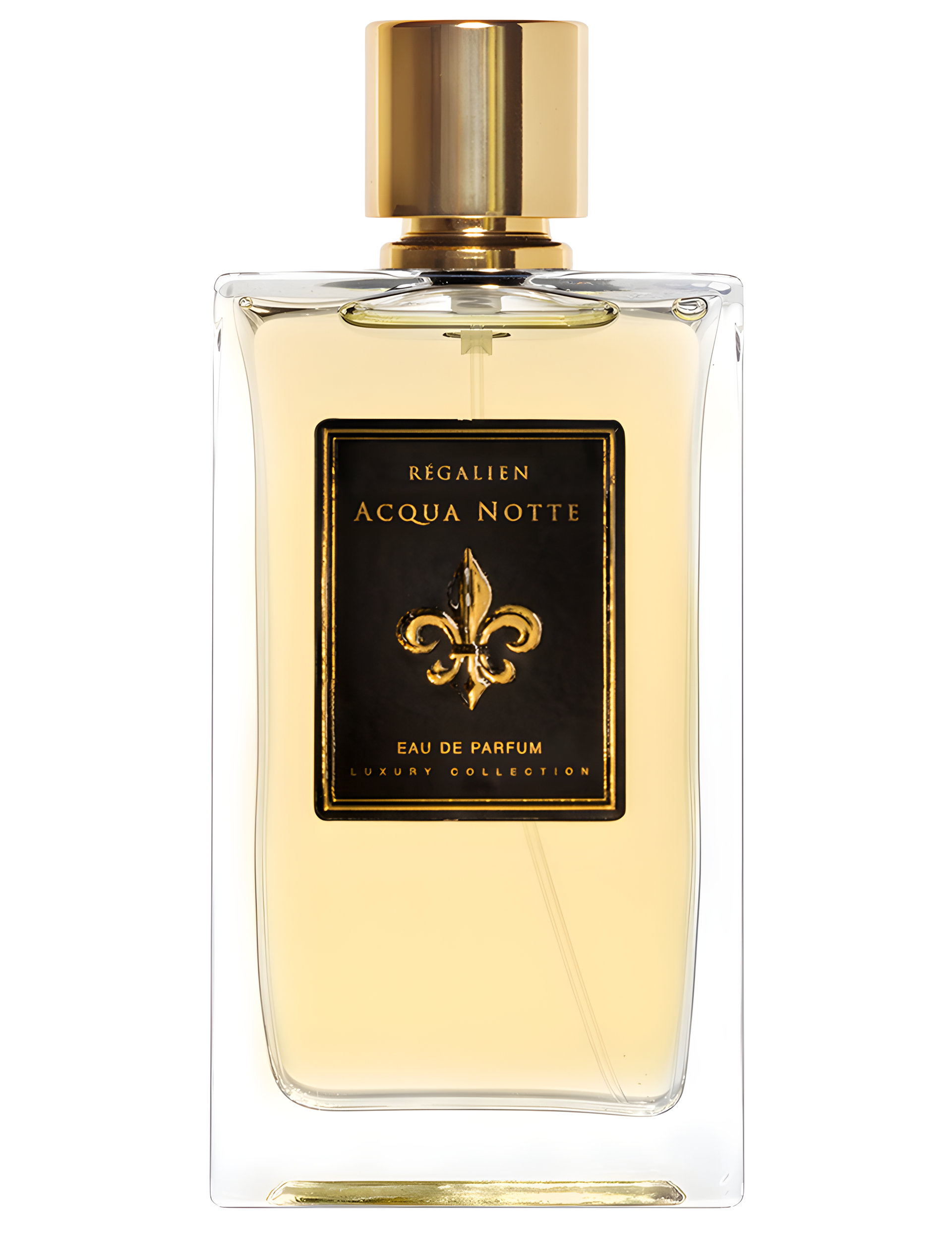 Picture of Aqua Notte fragrance