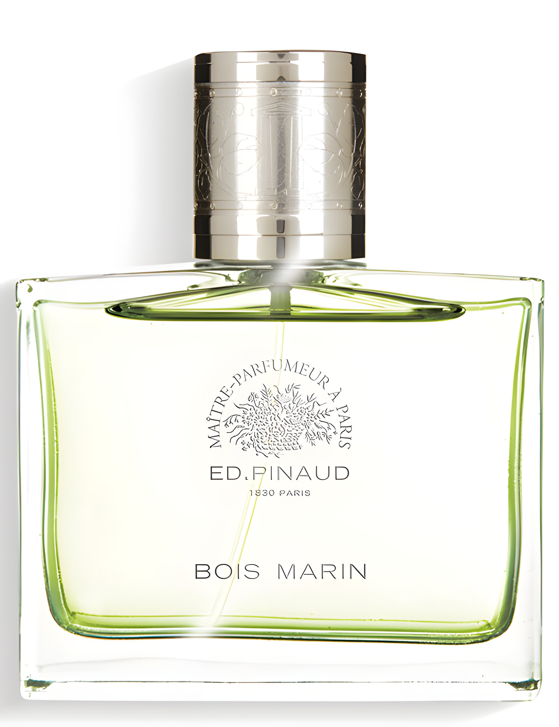 Picture of Bois Marine fragrance