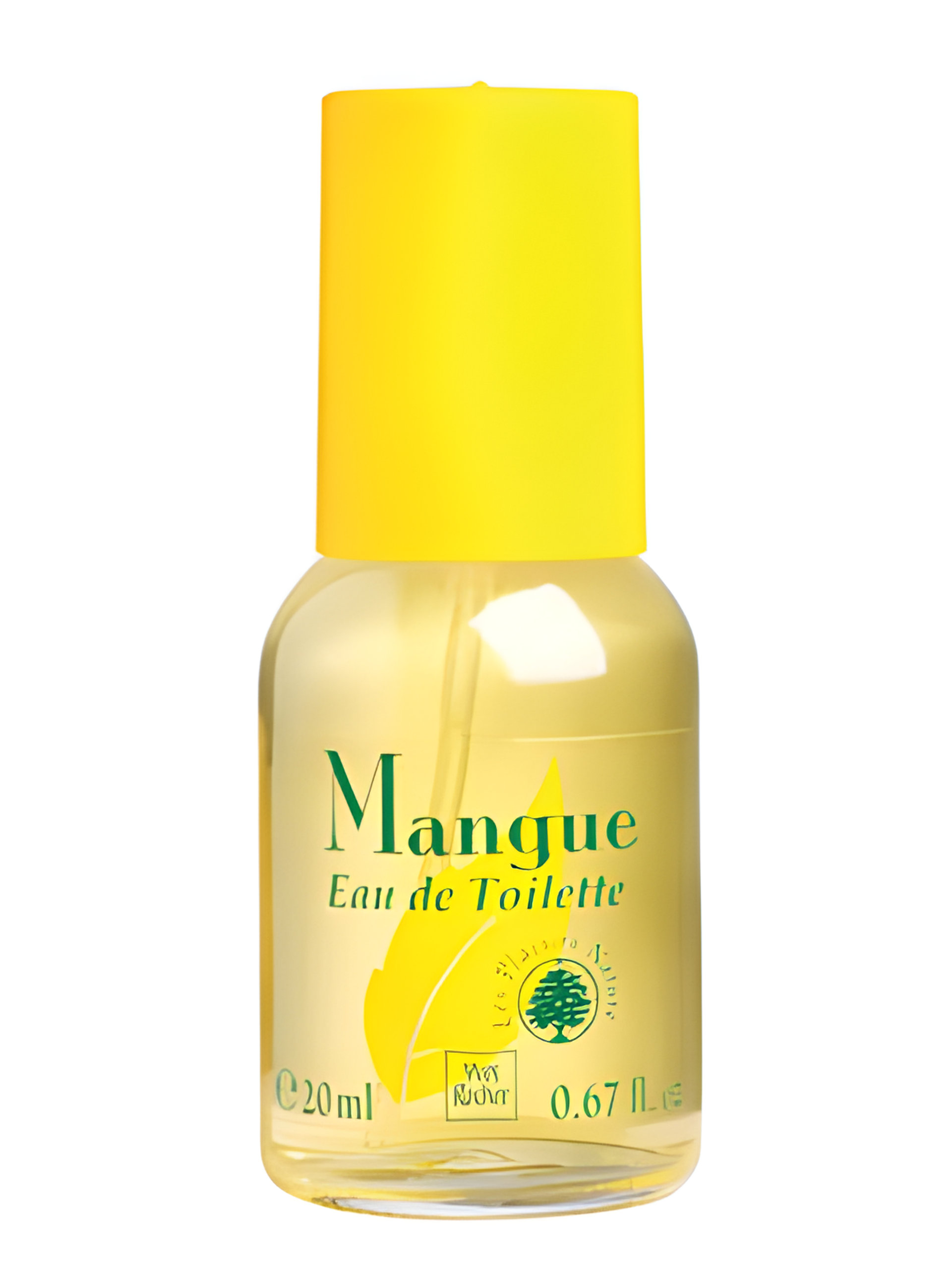Picture of Mangue fragrance
