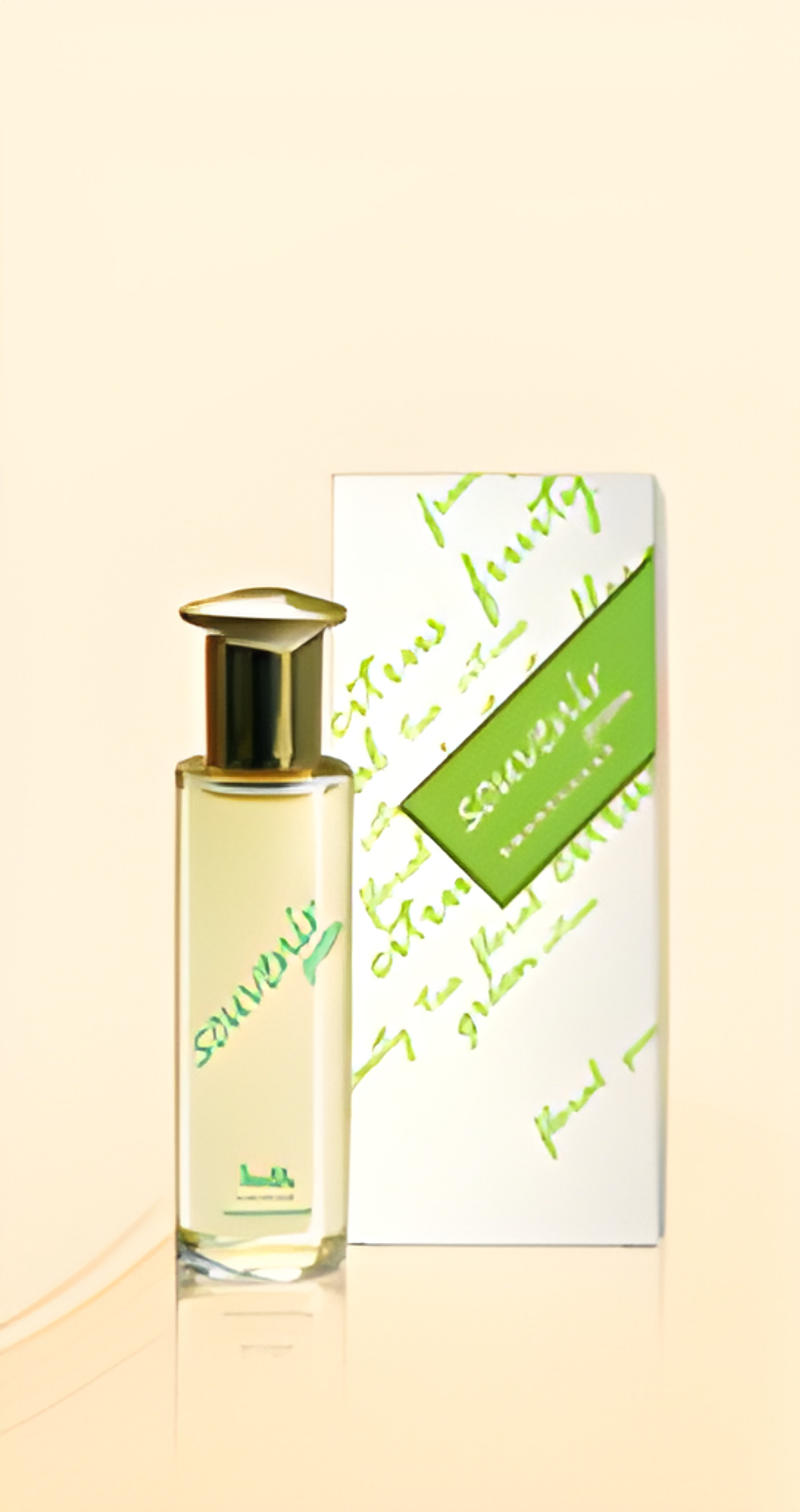 Picture of Souvenir Green fragrance
