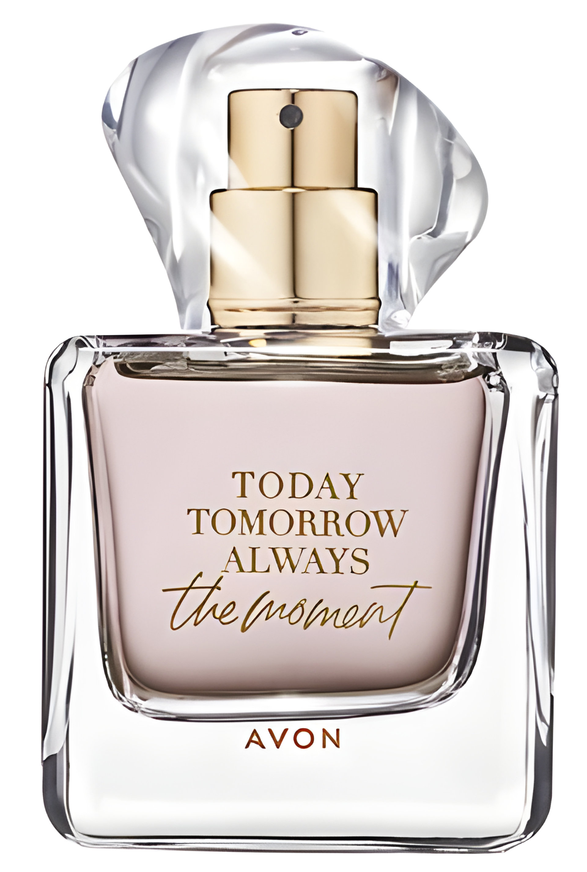 Picture of Today Tomorrow Always the Moment Her fragrance