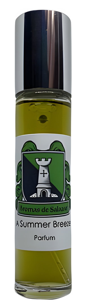 A Summer Breeze by Aromas de Salazar perfume bottle