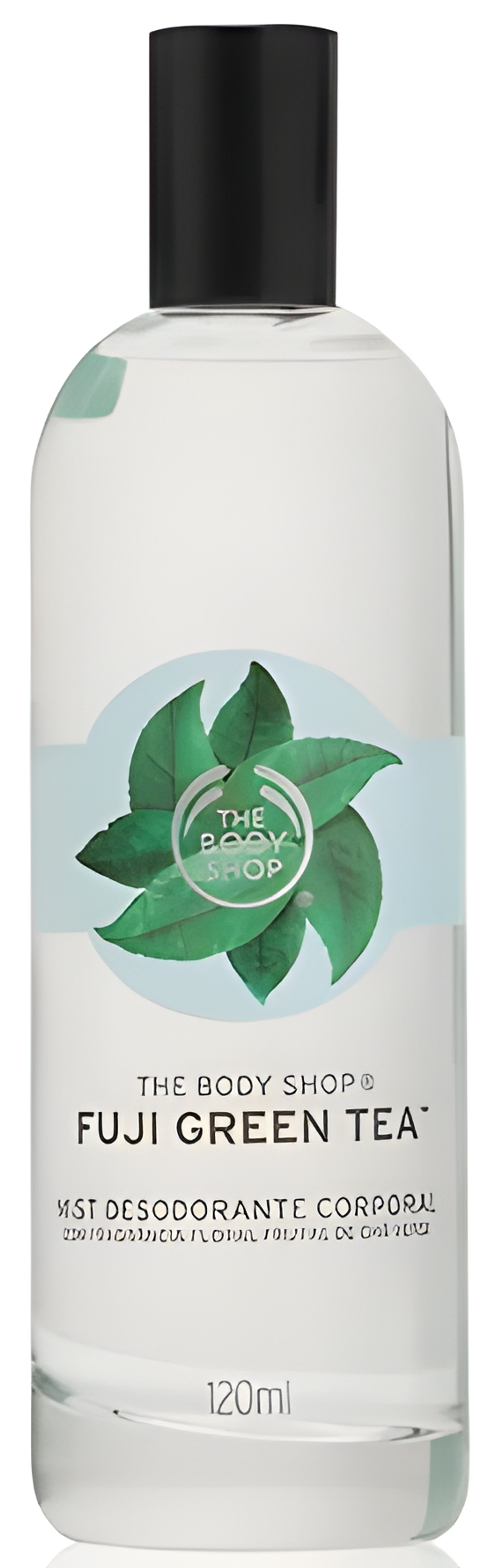 Picture of Fuji Green Tea fragrance