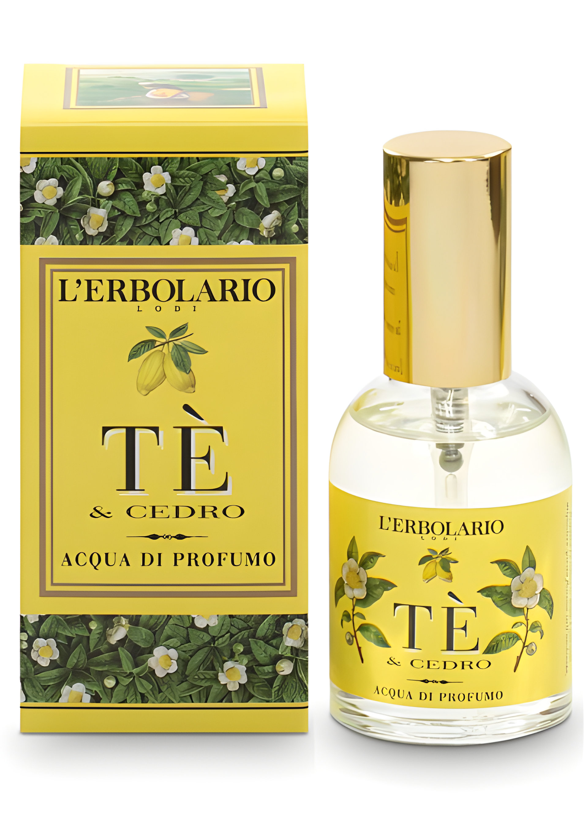 Picture of Tè & Cedro fragrance