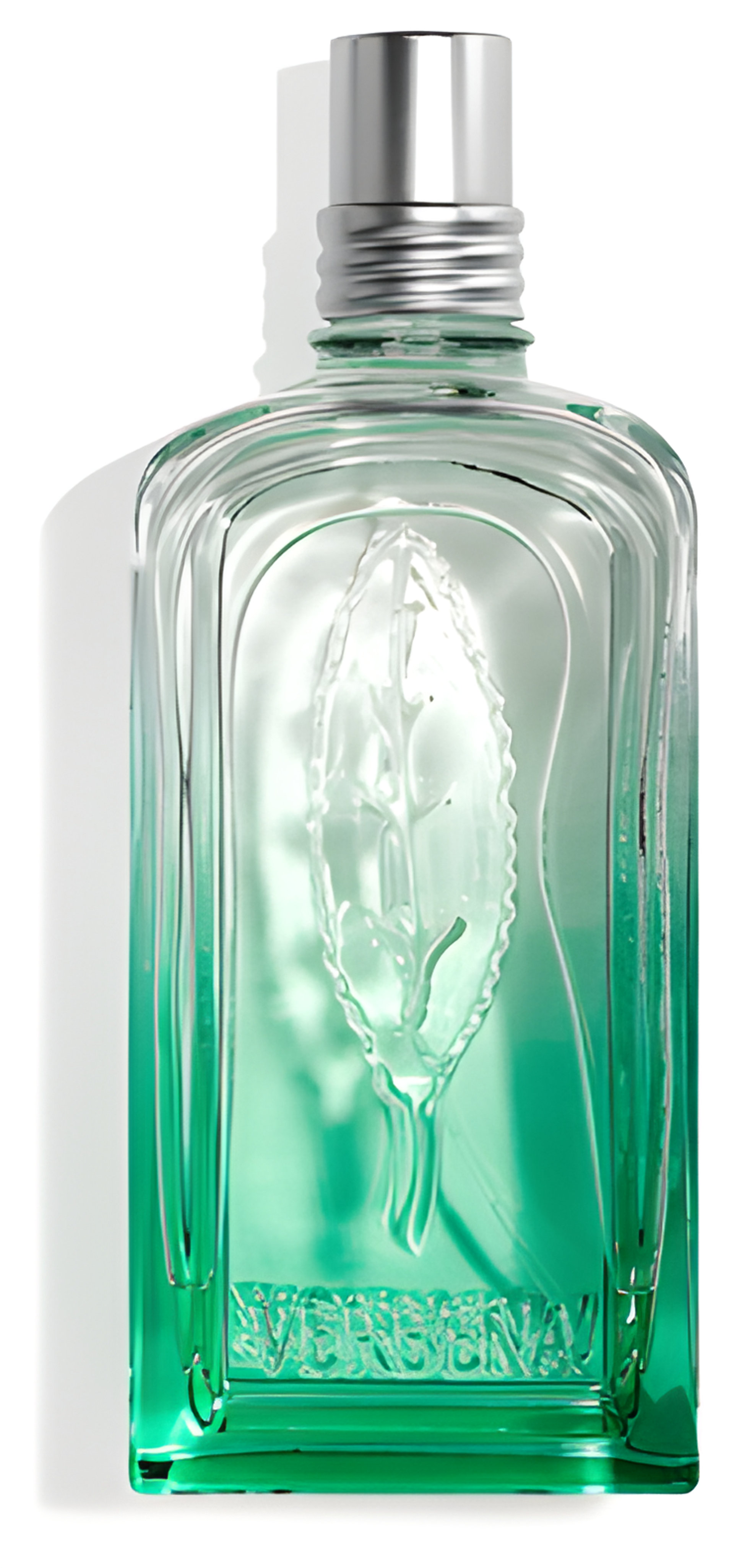 Picture of Verveine 2020 fragrance