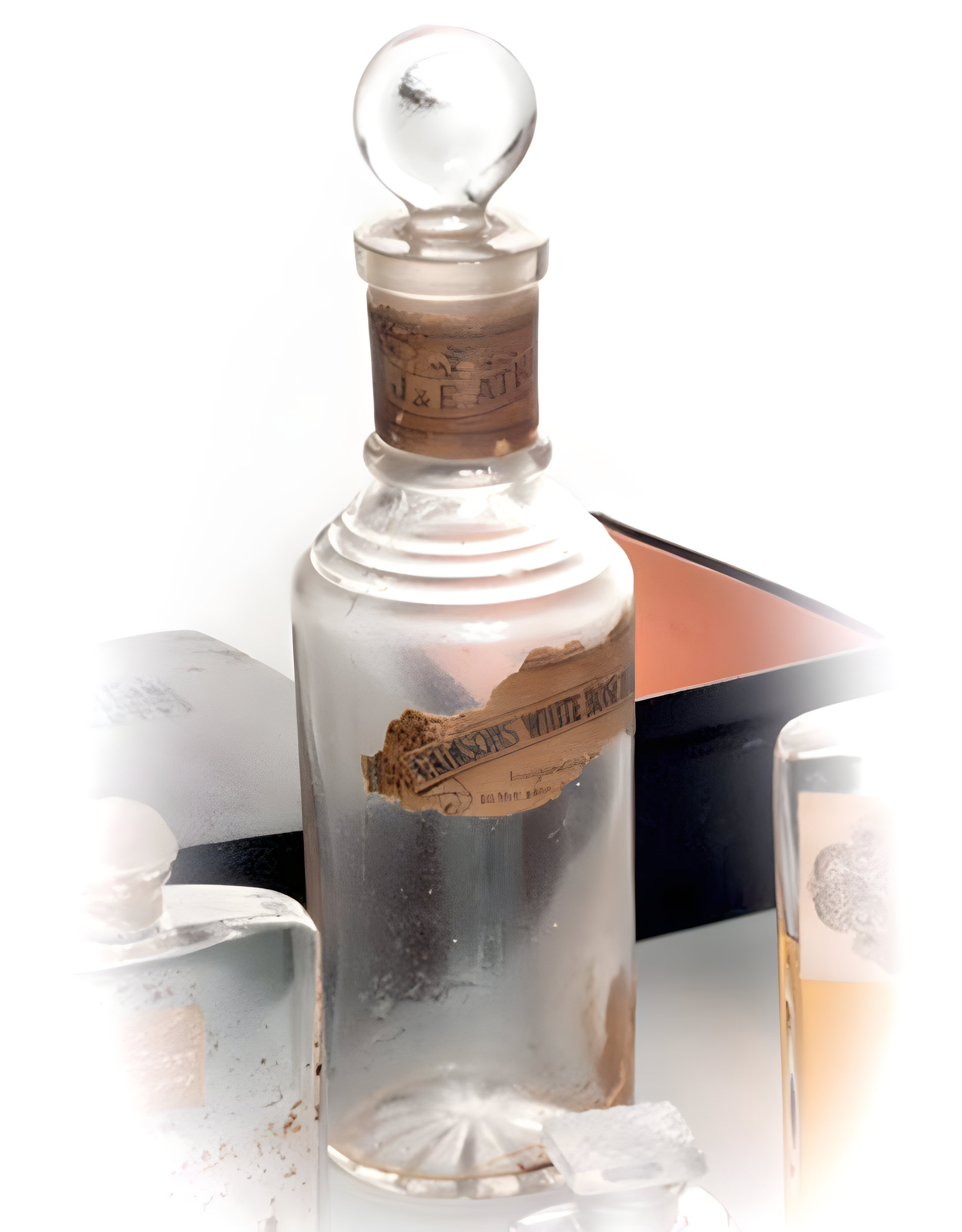 Picture of White Rose fragrance