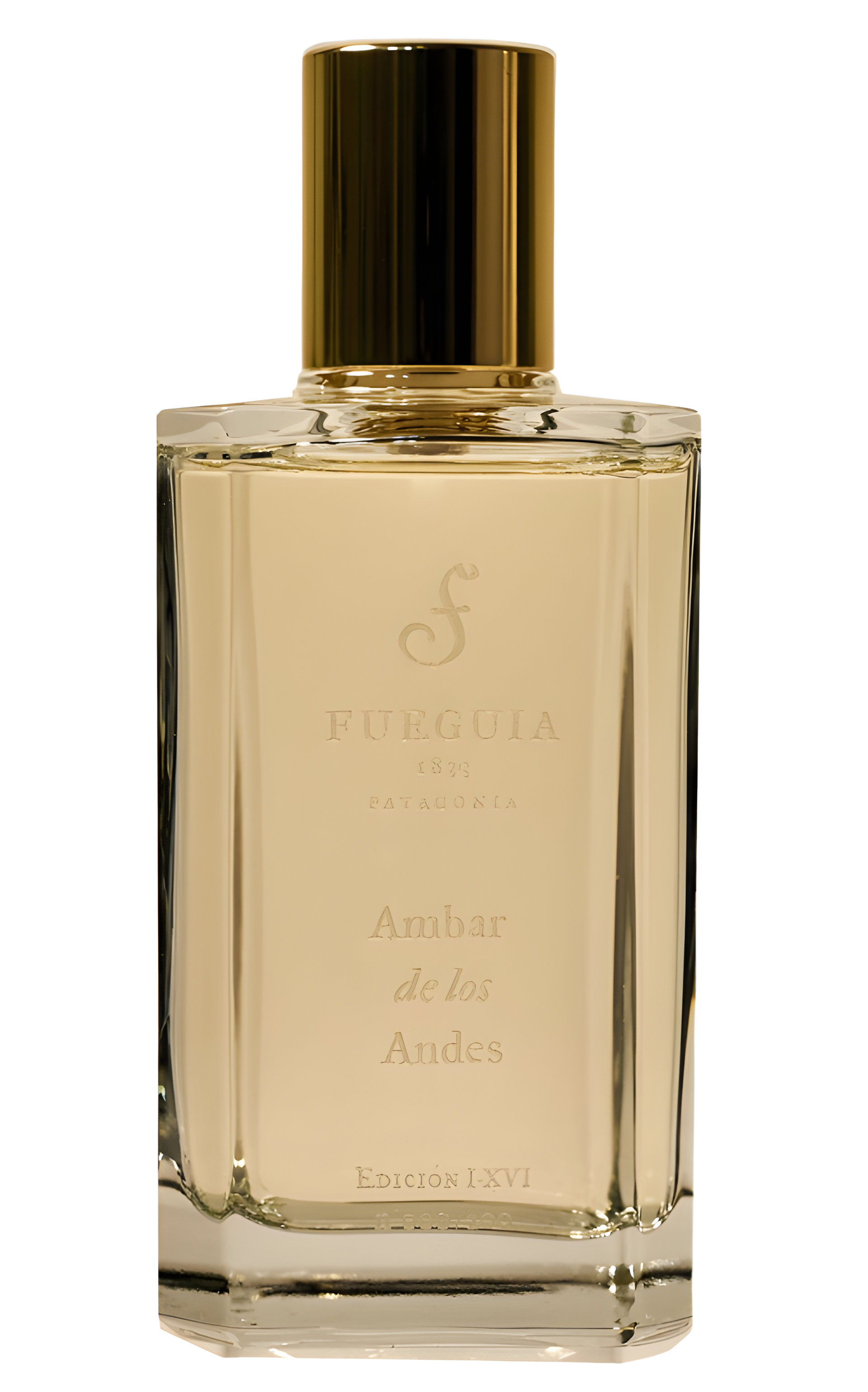 Picture of Ambar de Los Andes fragrance
