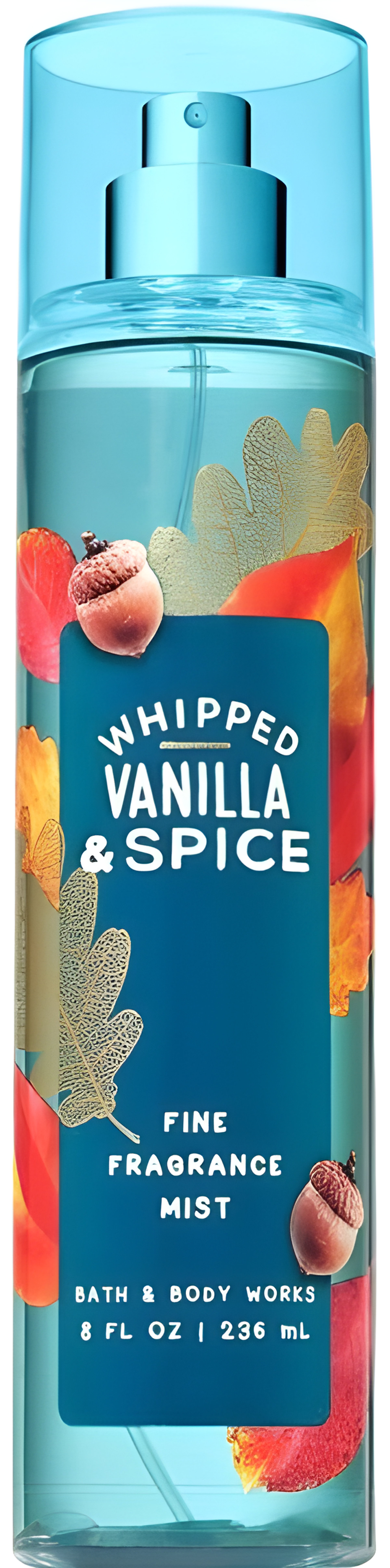 Whipped Vanilla & Spice by Bath & Body Works