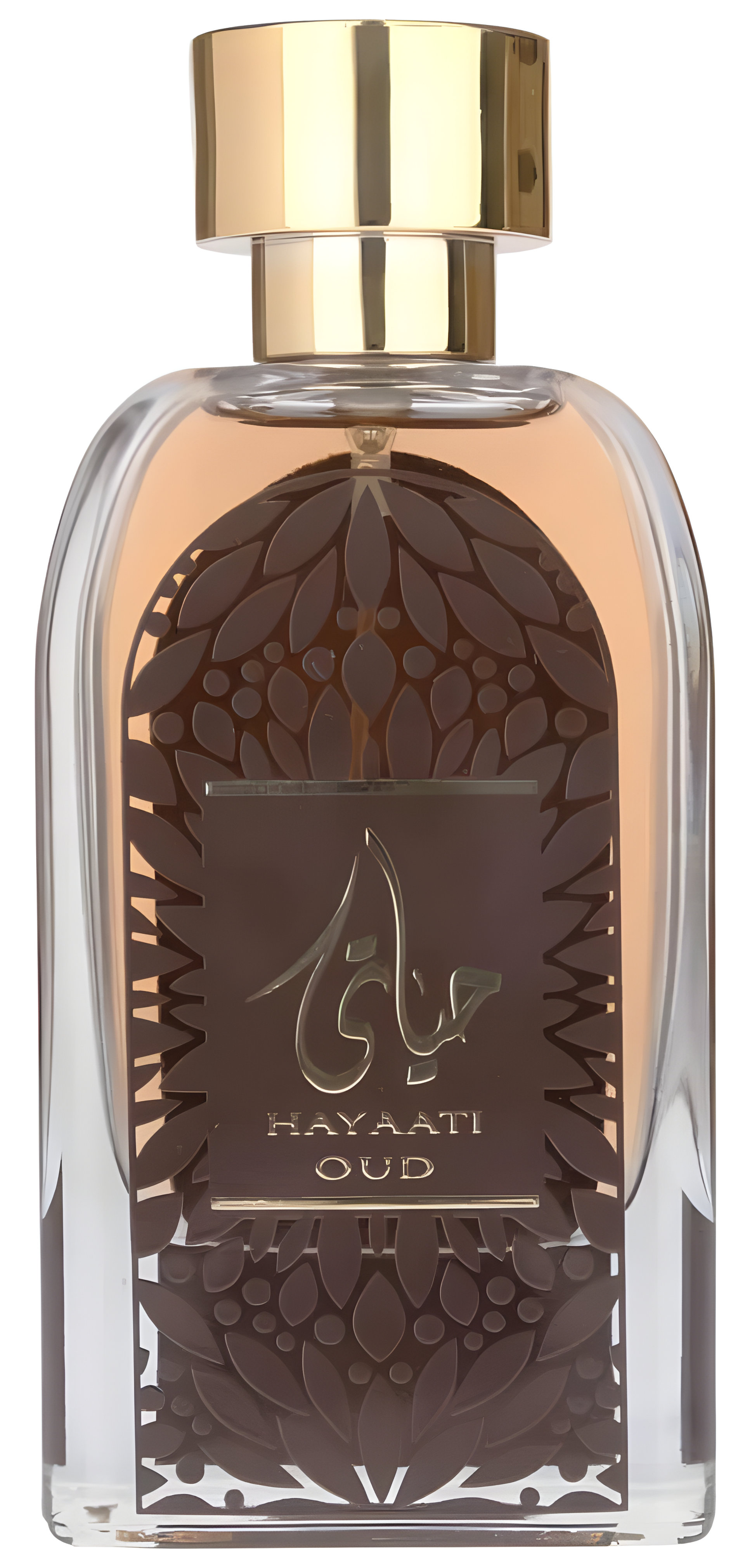 Hayaati Oud by Ard Al Zaafaran perfume bottle