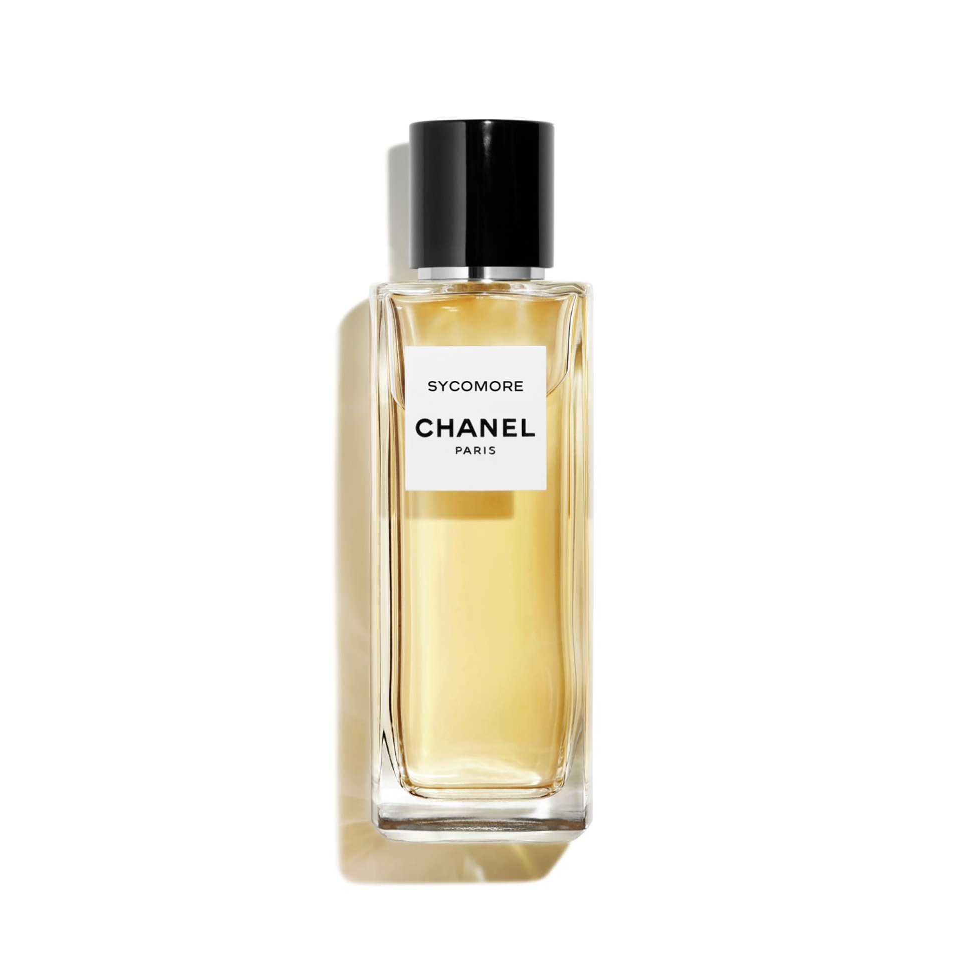 Picture of Sycomore Eau de Parfum fragrance