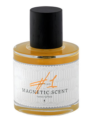 Untitled 1 by Magnetic Scent perfume bottle