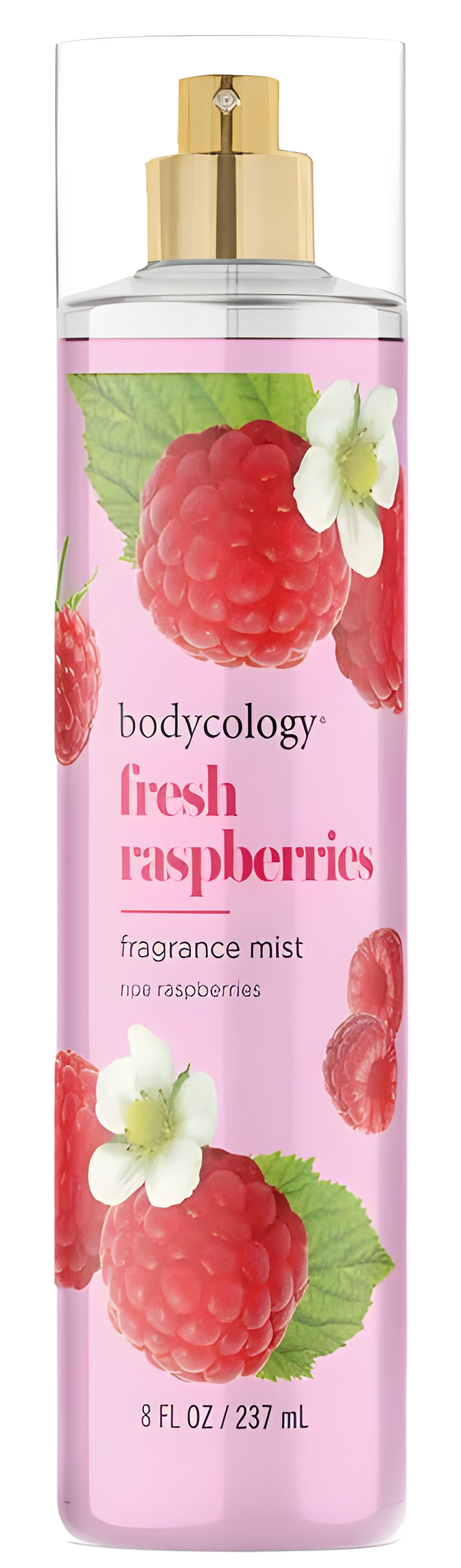 Picture of Fresh Raspberries fragrance