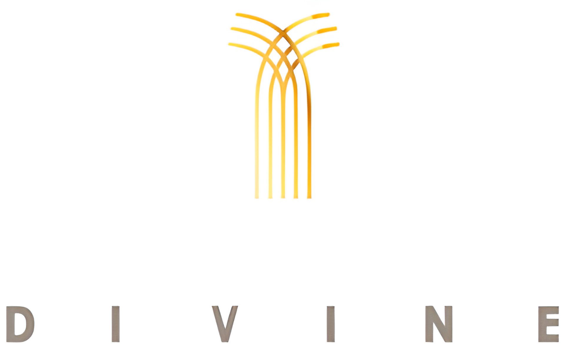 Picture of Divine brand