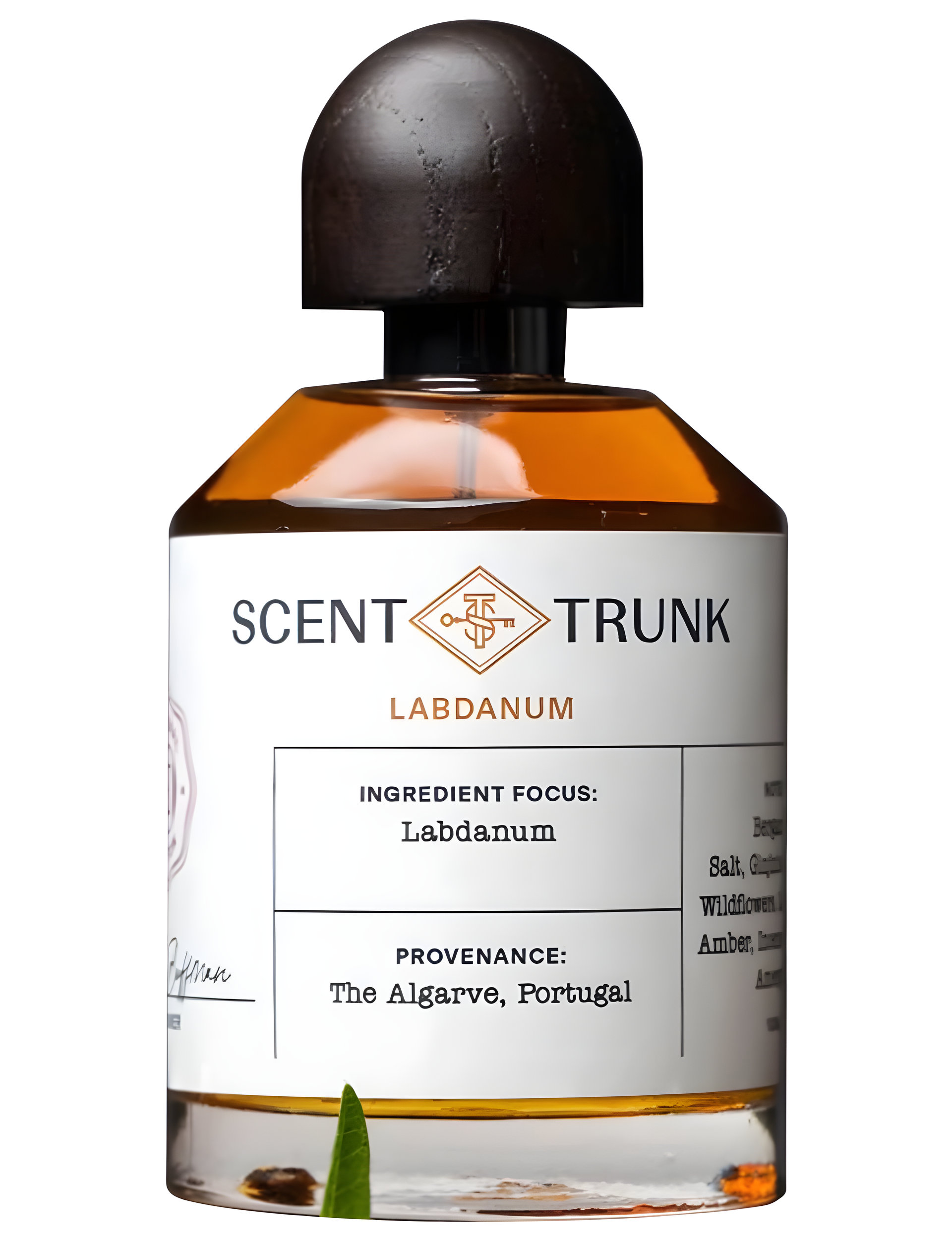 Picture of Labdanum fragrance