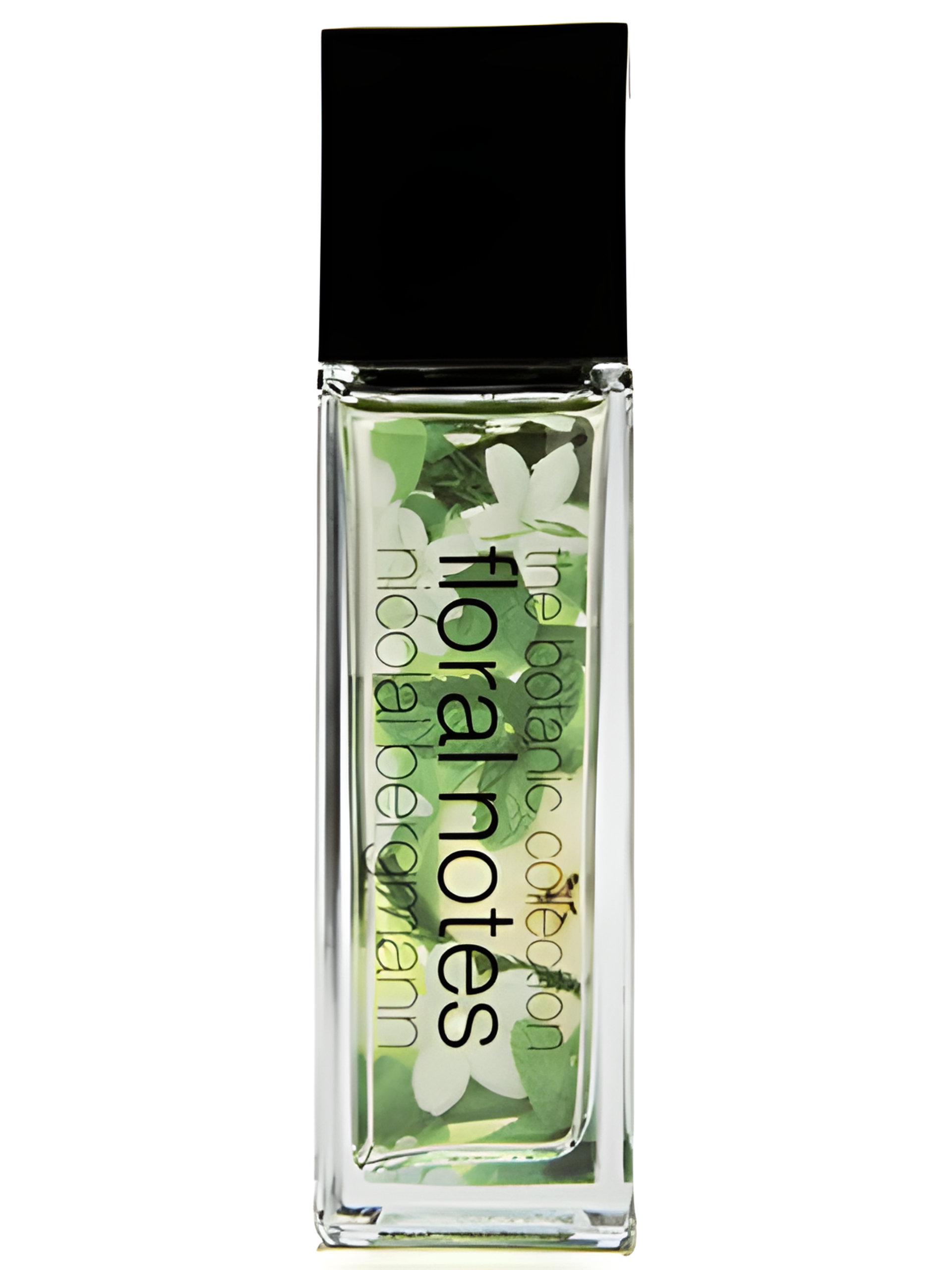 Picture of Jasmine, Lotus and Green Tea fragrance