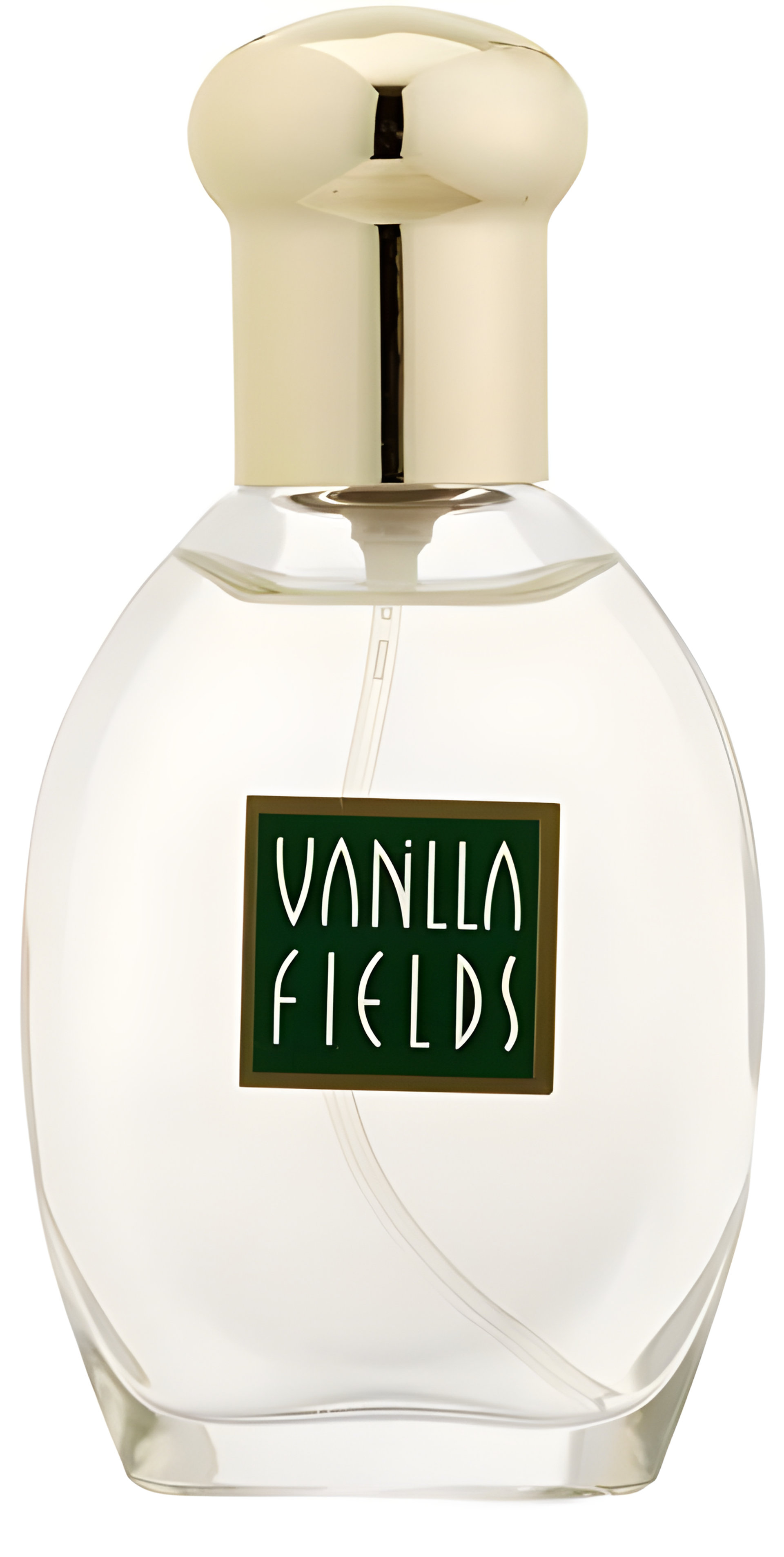 Picture of Vanilla Fields fragrance