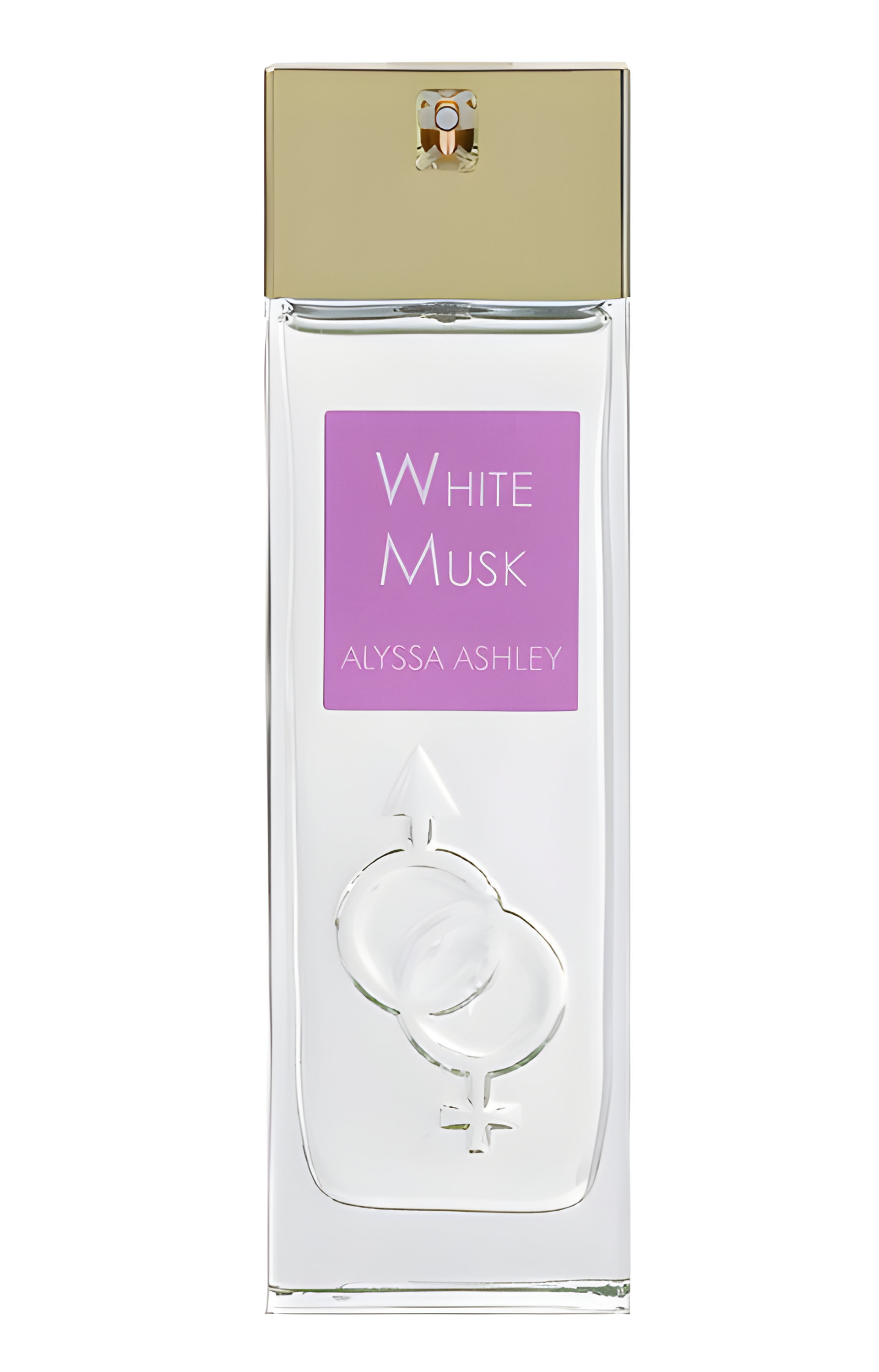 Picture of White Musk Eau de Parfum fragrance