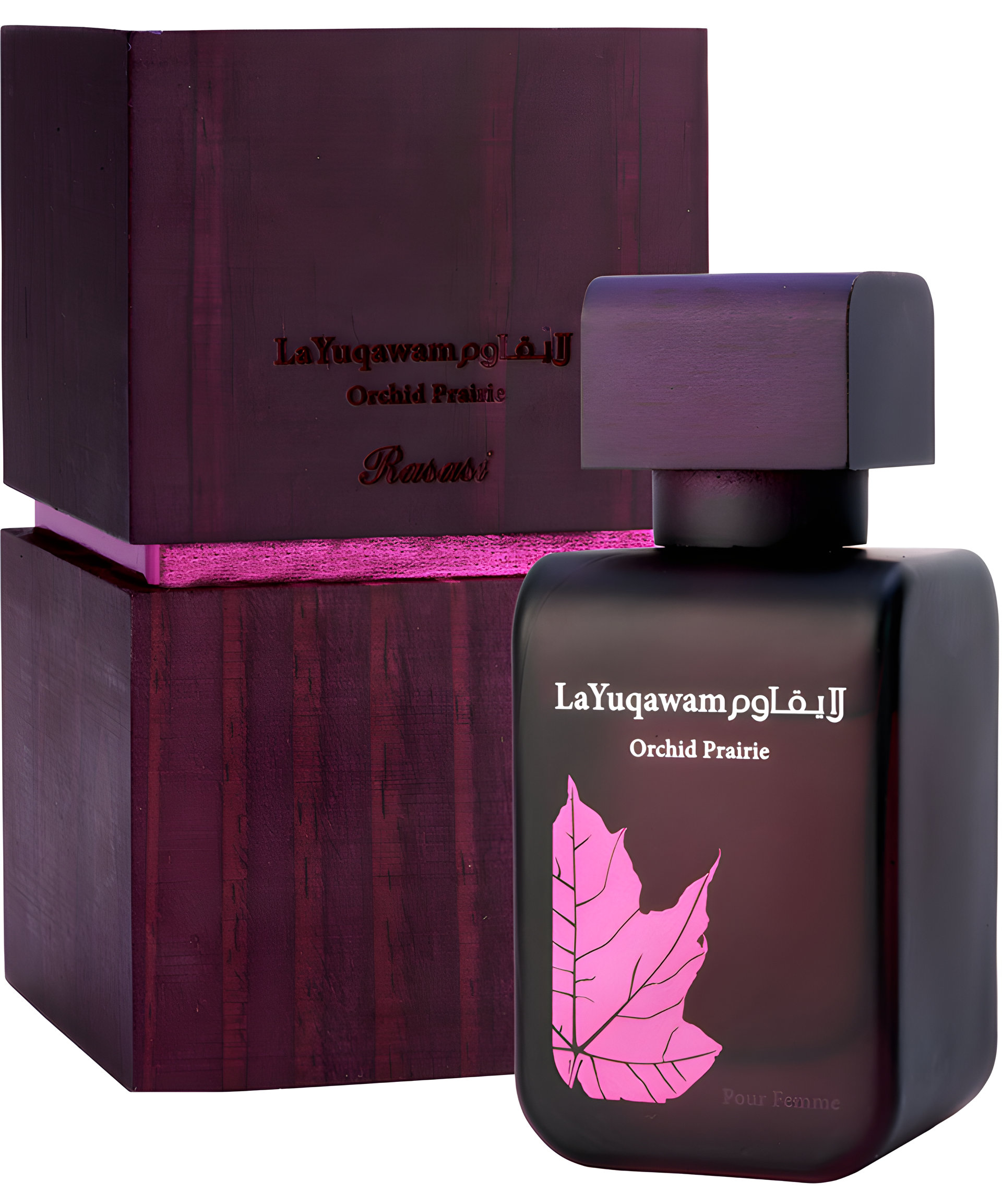 Orchid Prairie by Rasasi