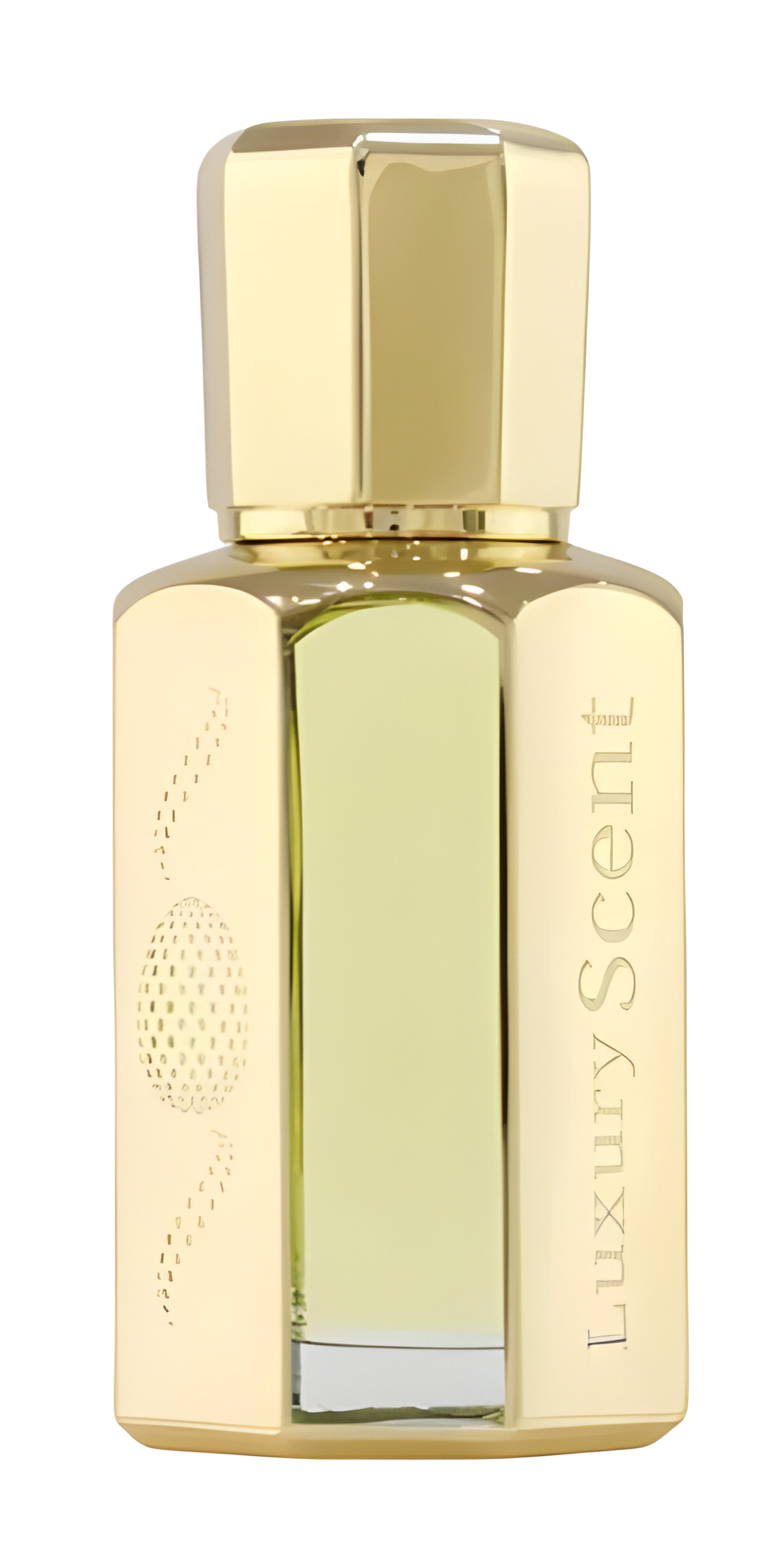 Picture of Sandal Noir fragrance