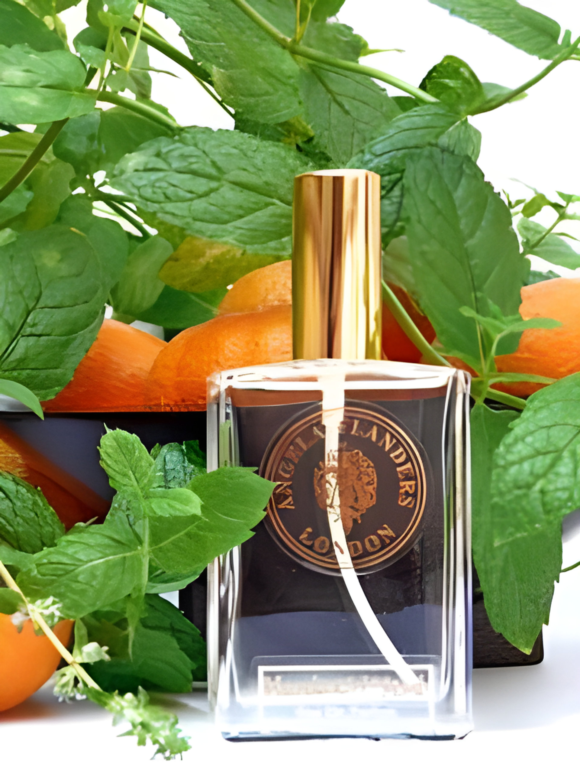 Picture of Mandarin & Mint fragrance