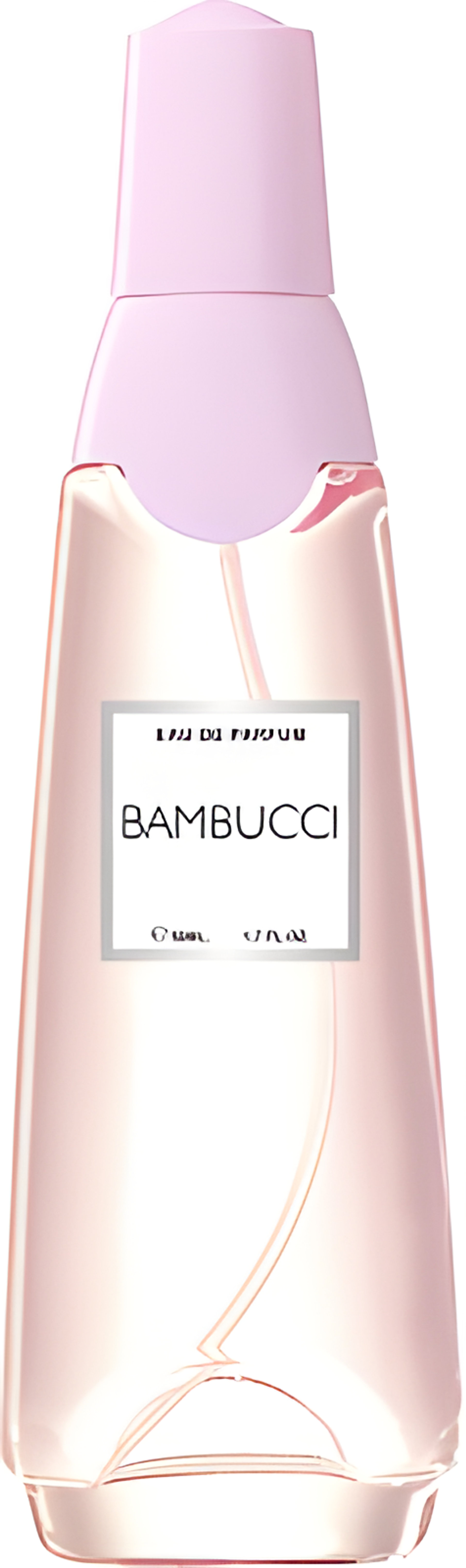 Picture of Bambucci fragrance
