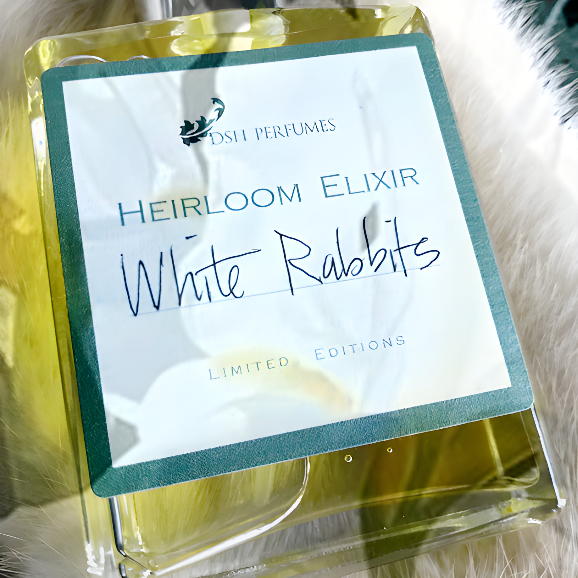 Picture of White Rabbits fragrance