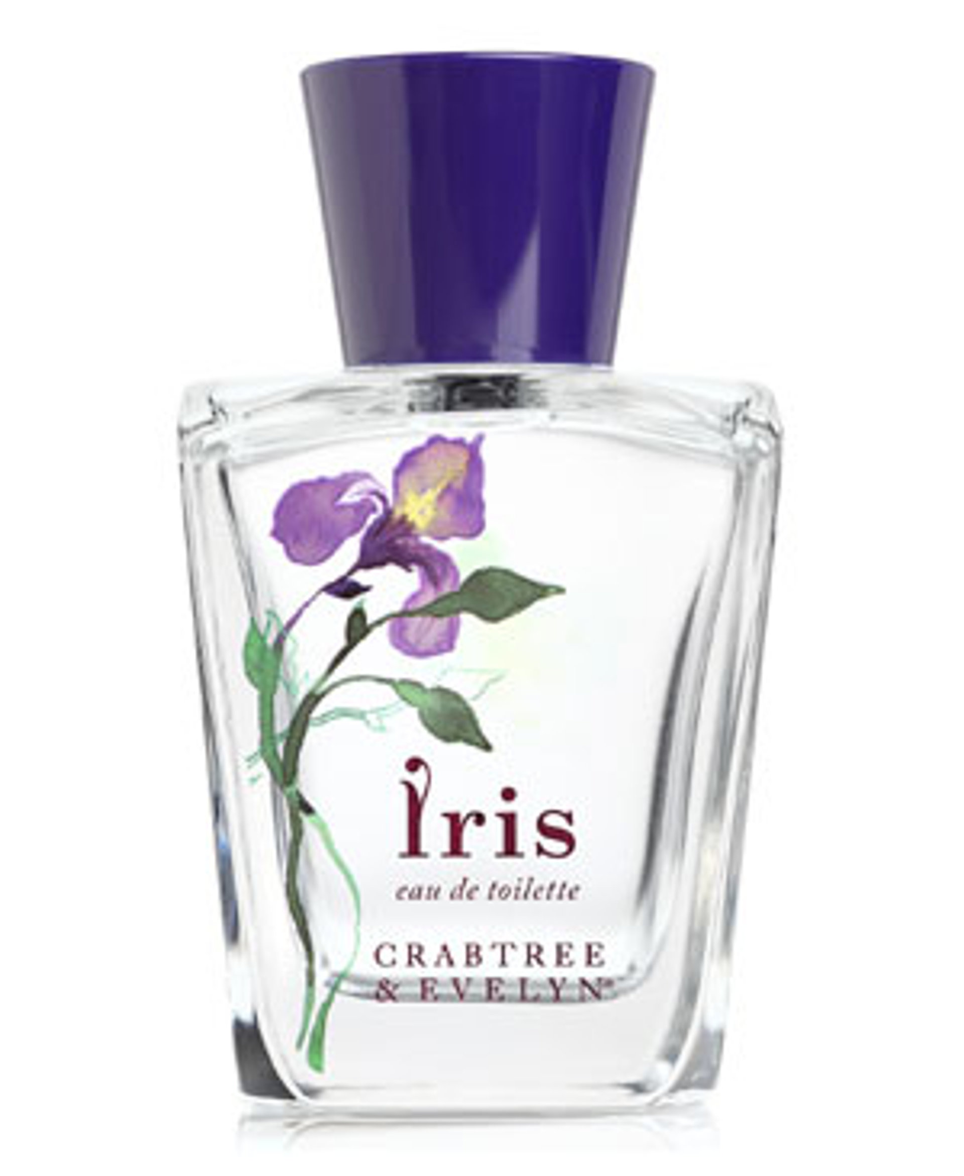 Picture of Iris fragrance