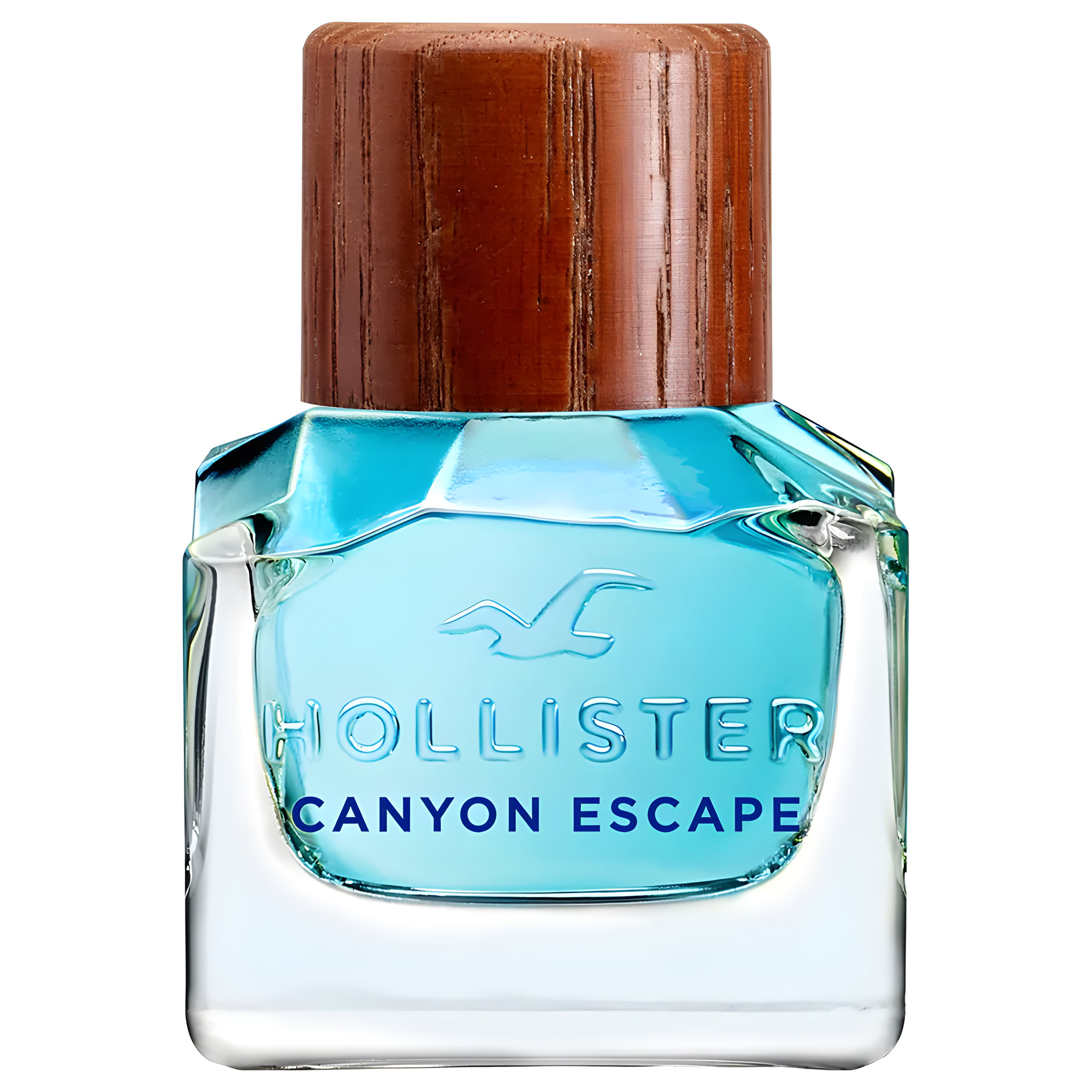 Picture of Hollister Canyon Escape Man fragrance