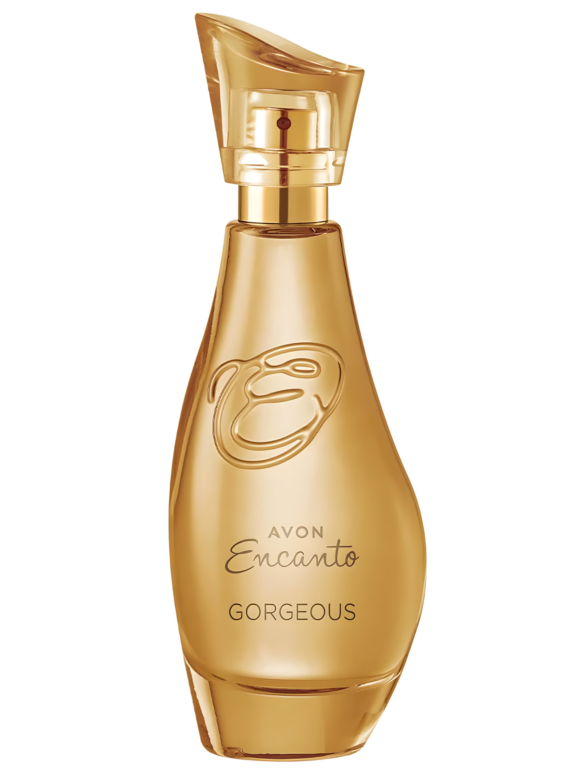 Picture of Encanto Gorgeous fragrance