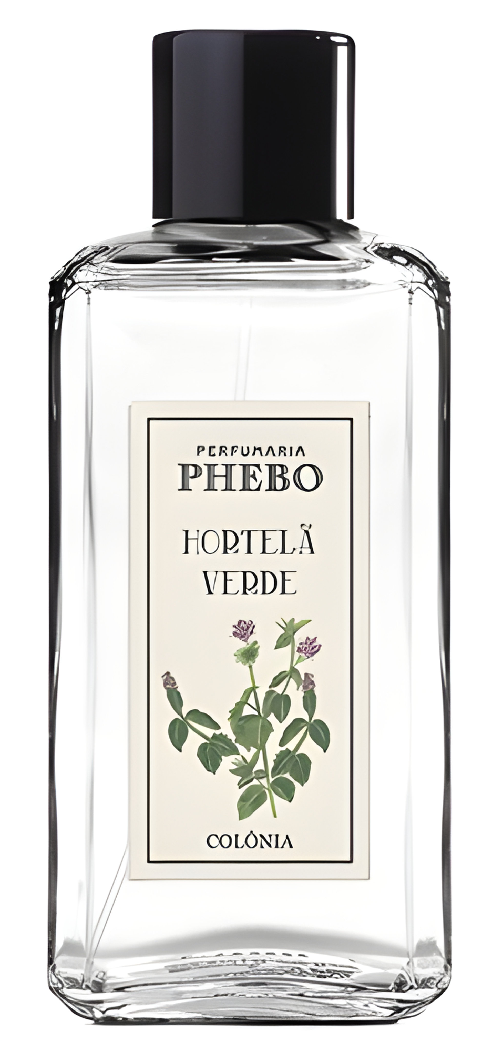 Picture of Hortelã Verde fragrance