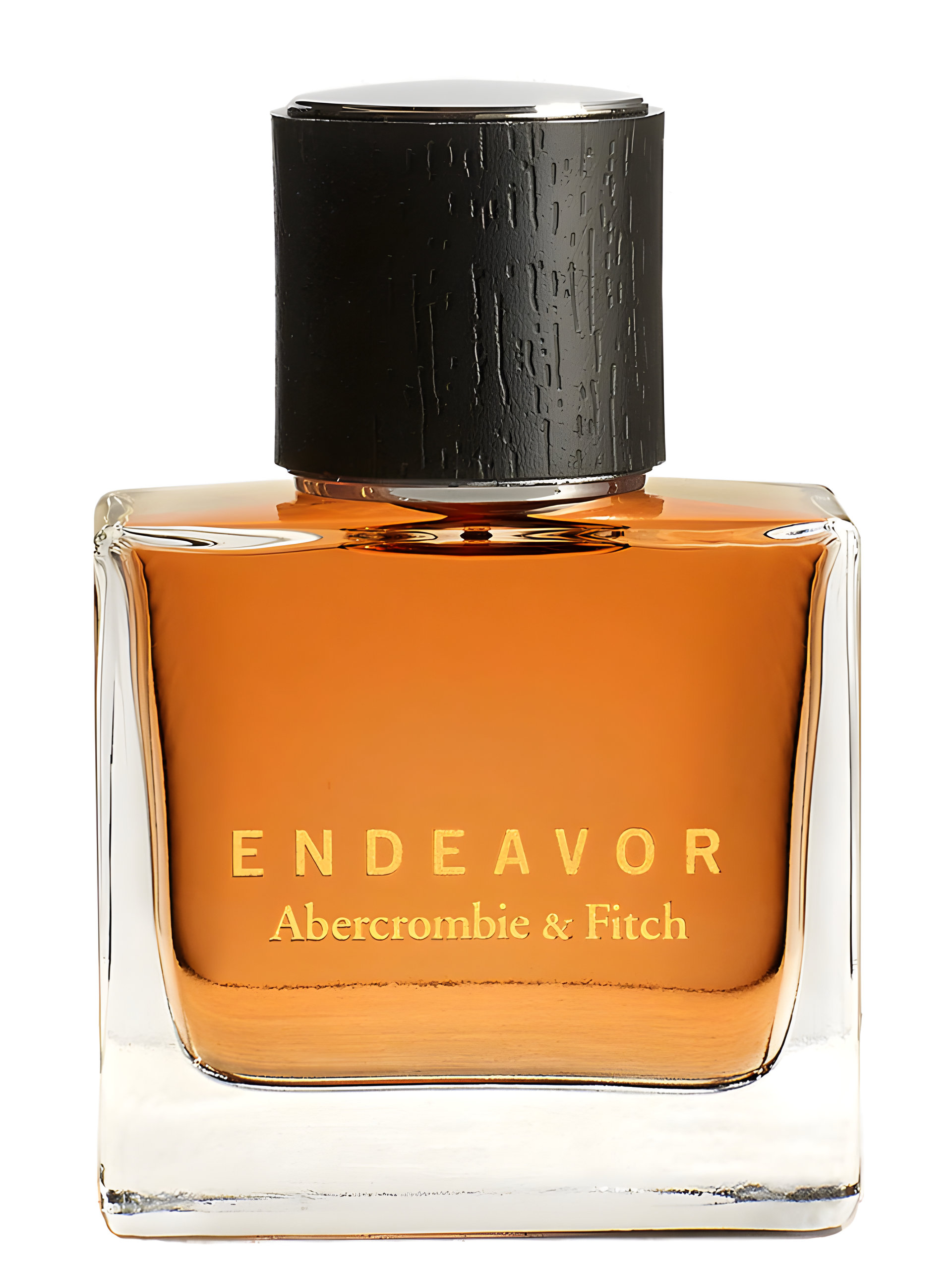 Picture of Endeavor fragrance