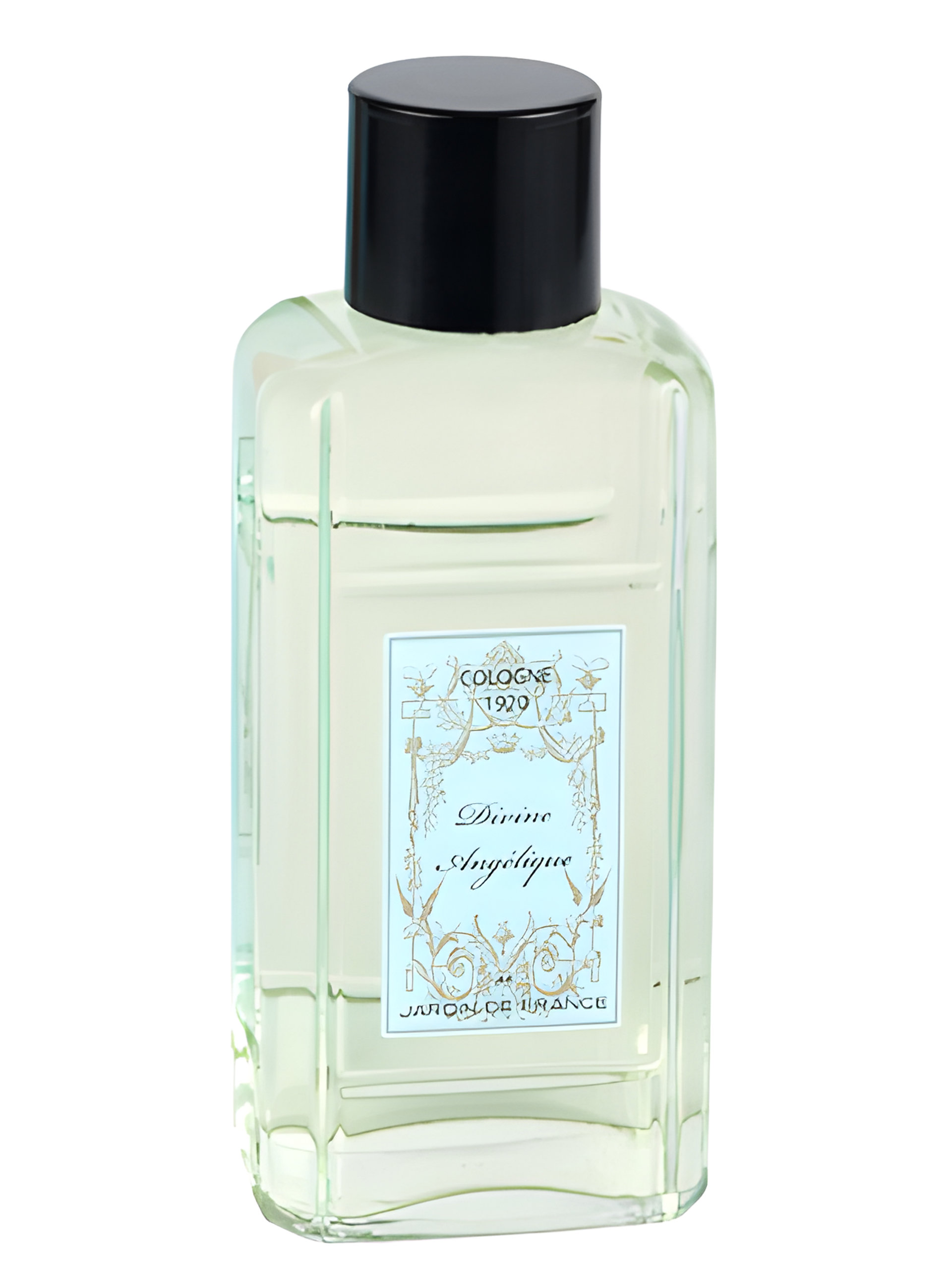 Picture of Divine Angelique fragrance