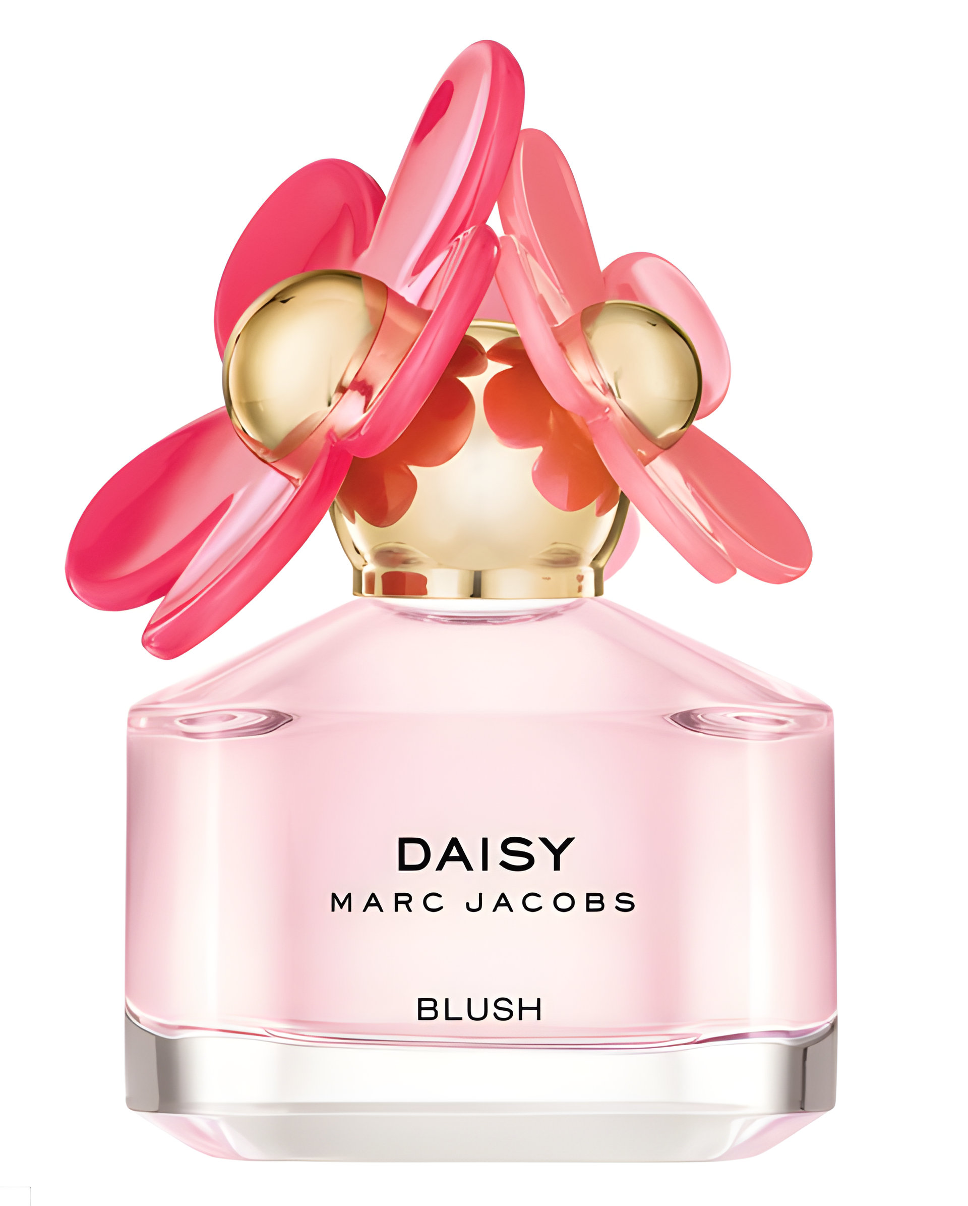 Daisy Blush by Marc Jacobs