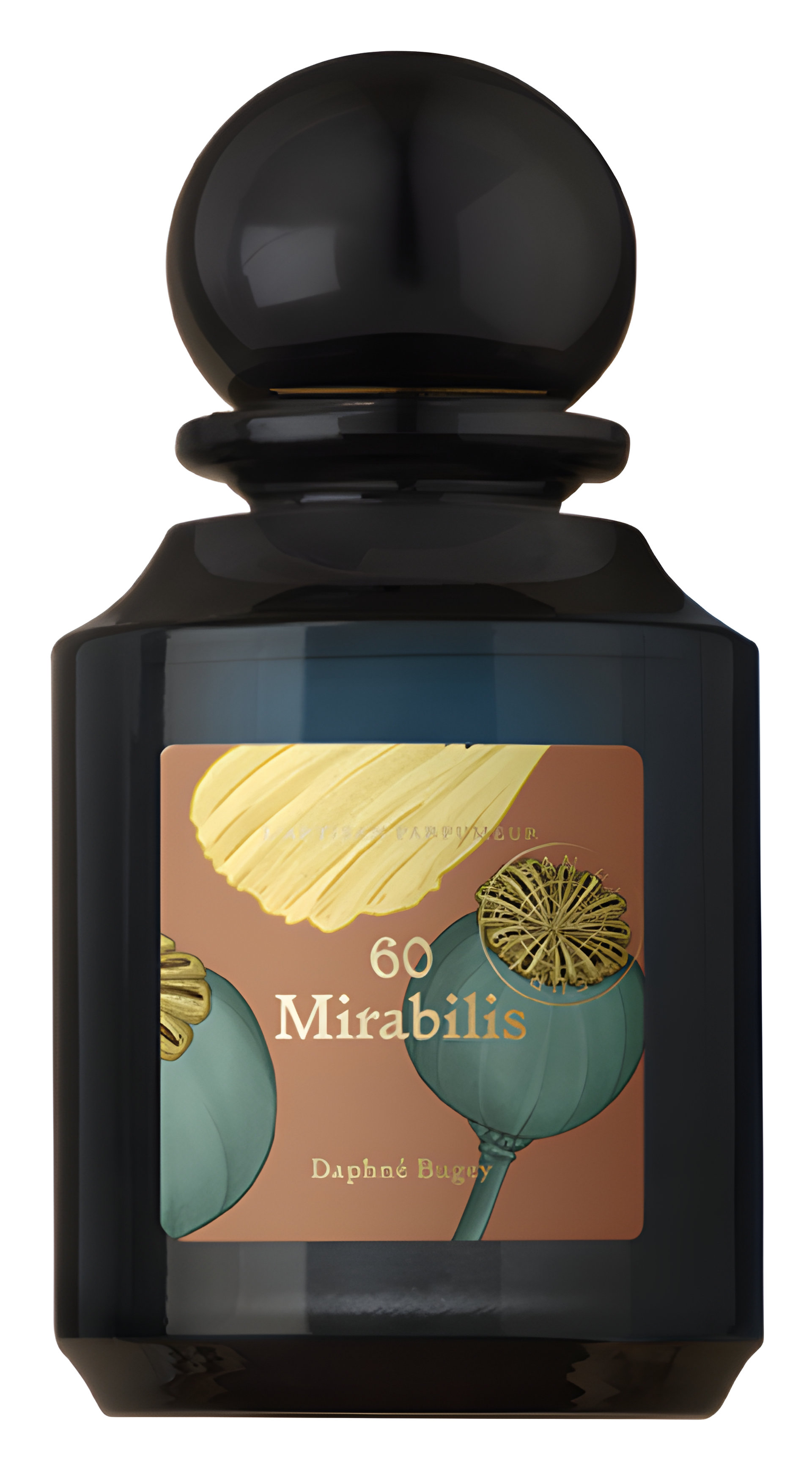 Picture of Mirabilis 60 fragrance