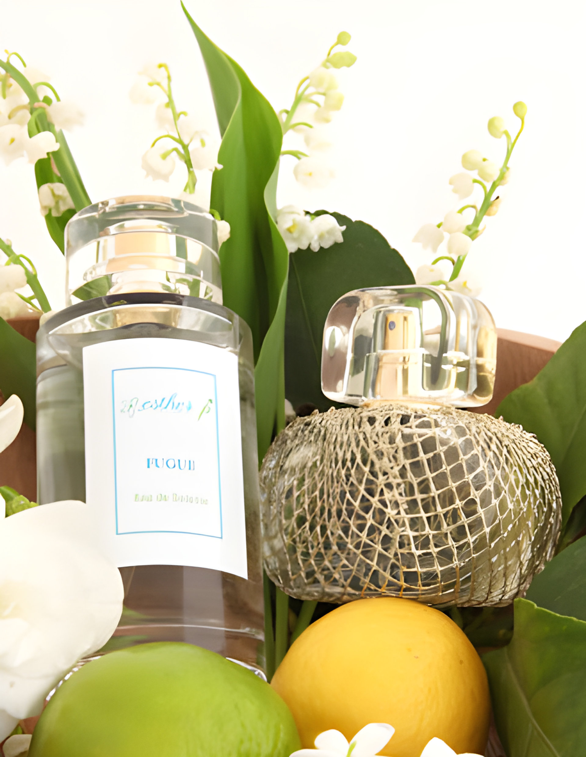 Picture of Fugue fragrance