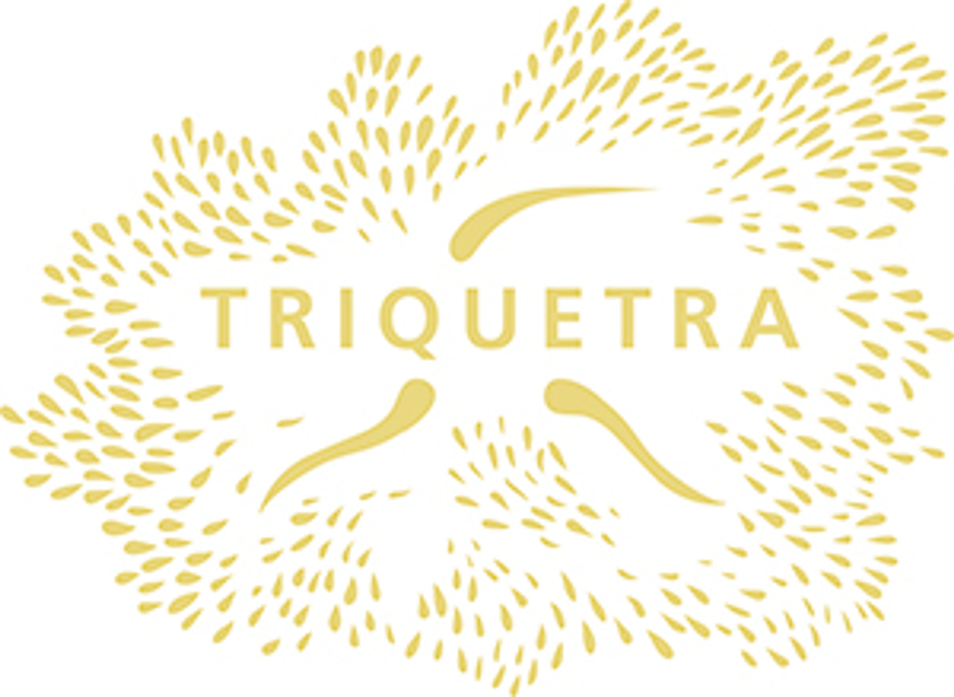 Picture of Triquetra brand