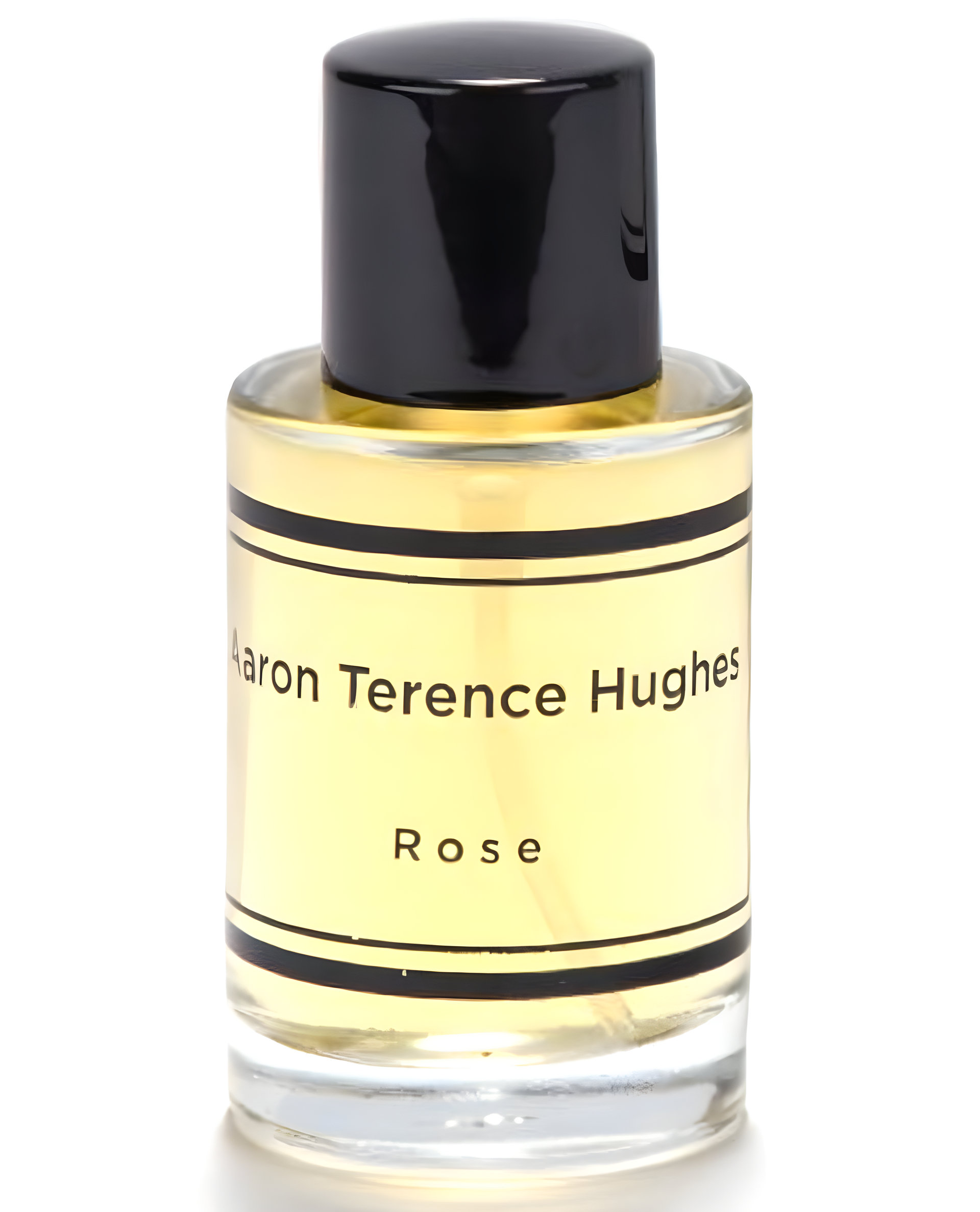 Rose by Aaron Terence Hughes