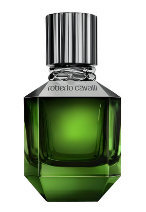 Paradise Found for Men by Roberto Cavalli perfume bottle