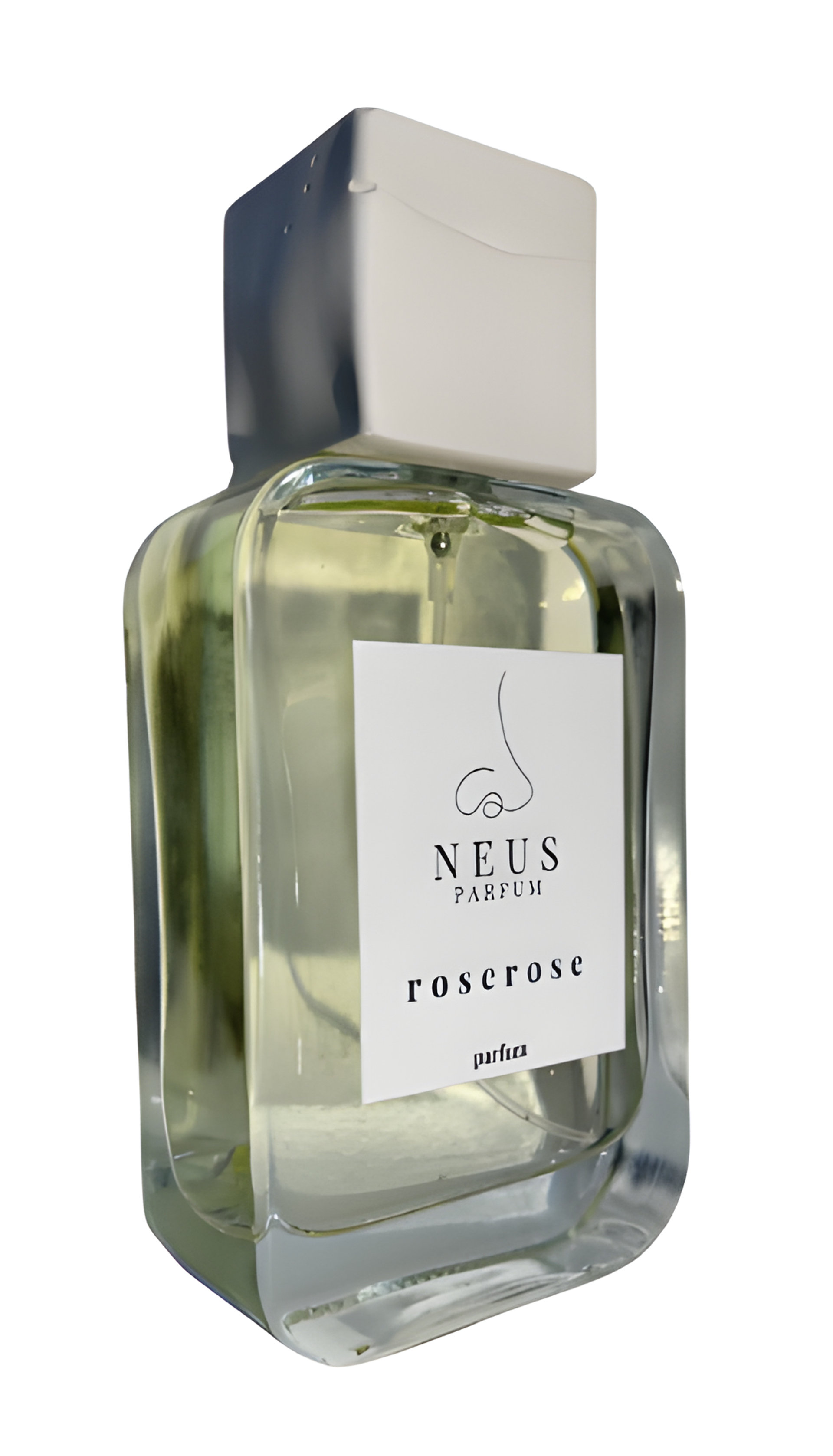 Picture of Rose Rose fragrance