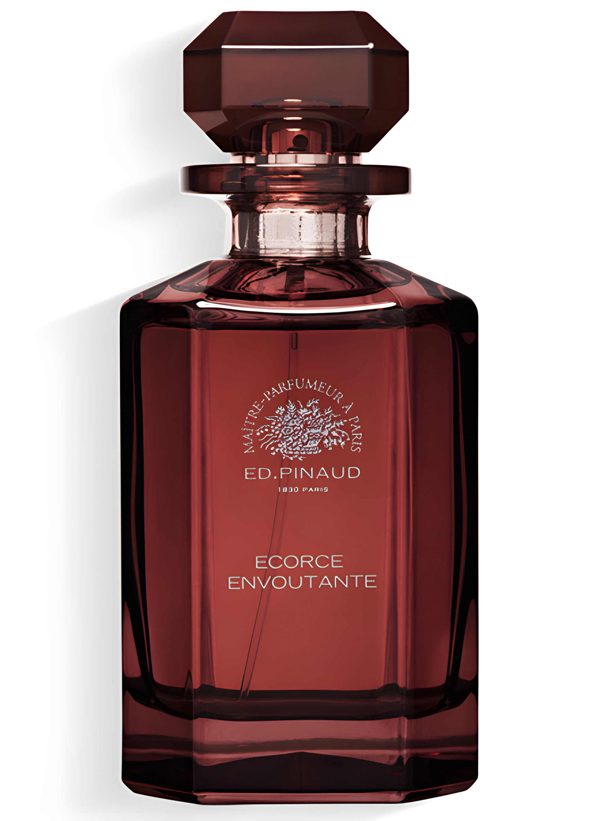 Picture of Écorce Envoutante fragrance