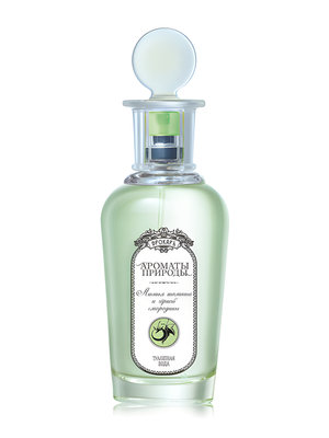 Листья Томата И Черной Смородины - Tomato and Black Currant Leaves by Brocard perfume bottle