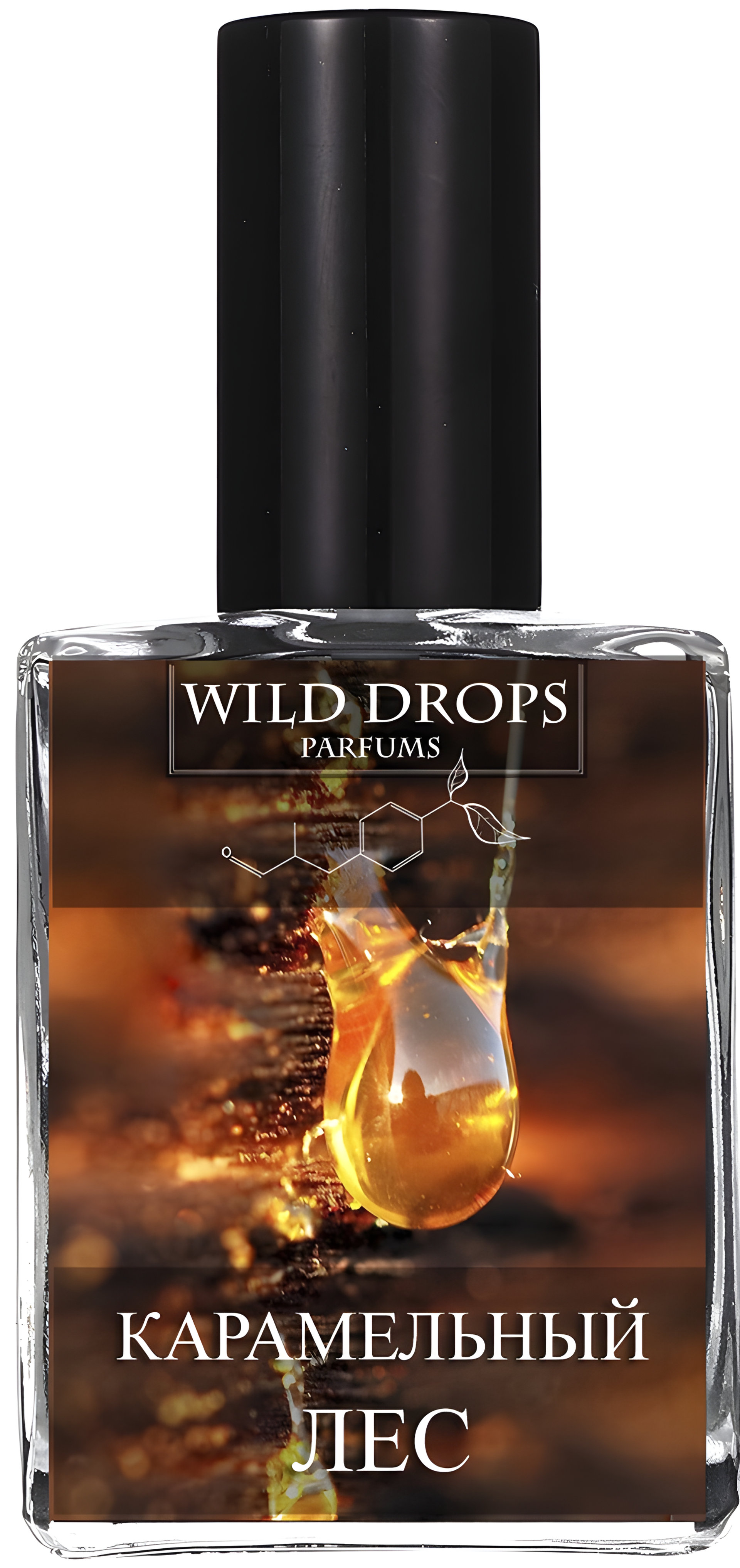 Picture of Caramel Forest (Карамельный Лес) fragrance
