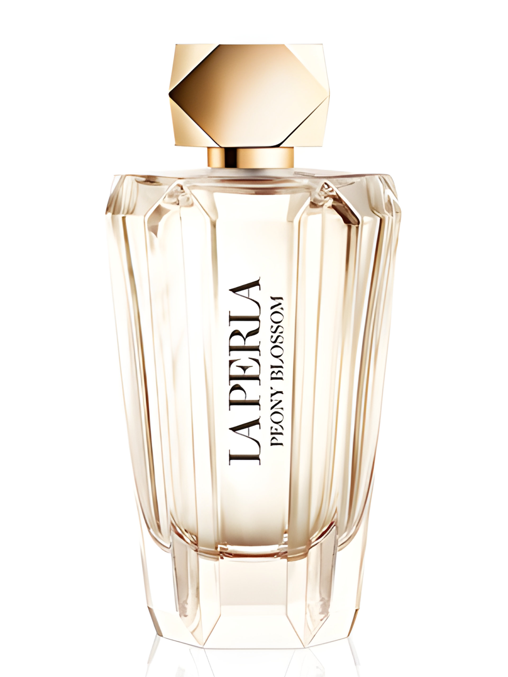 Picture of Peony Blossom fragrance