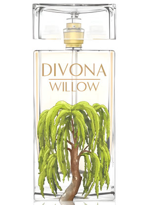 Willow by Divona perfume bottle
