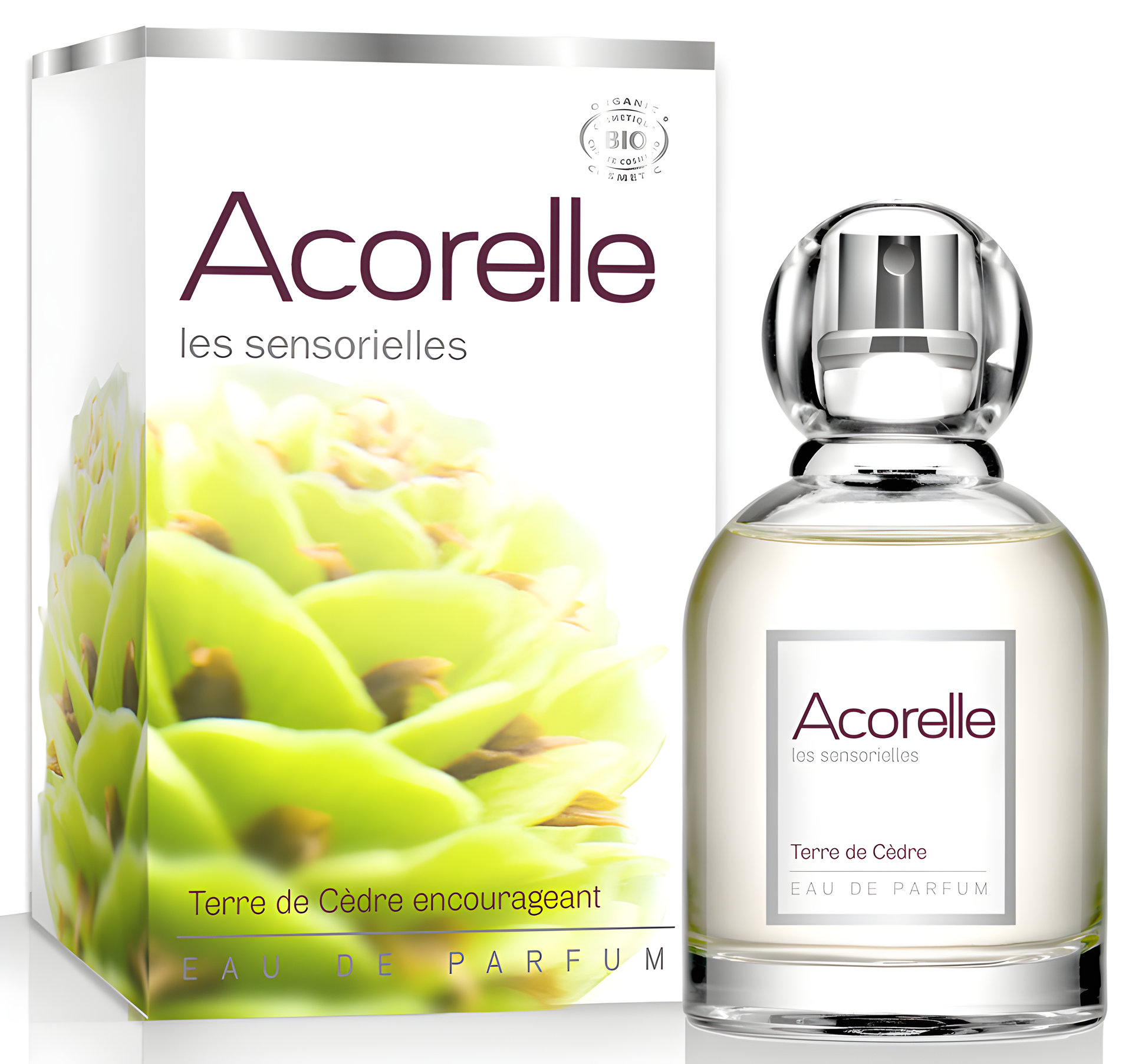 Picture of Terre de Cèdre fragrance