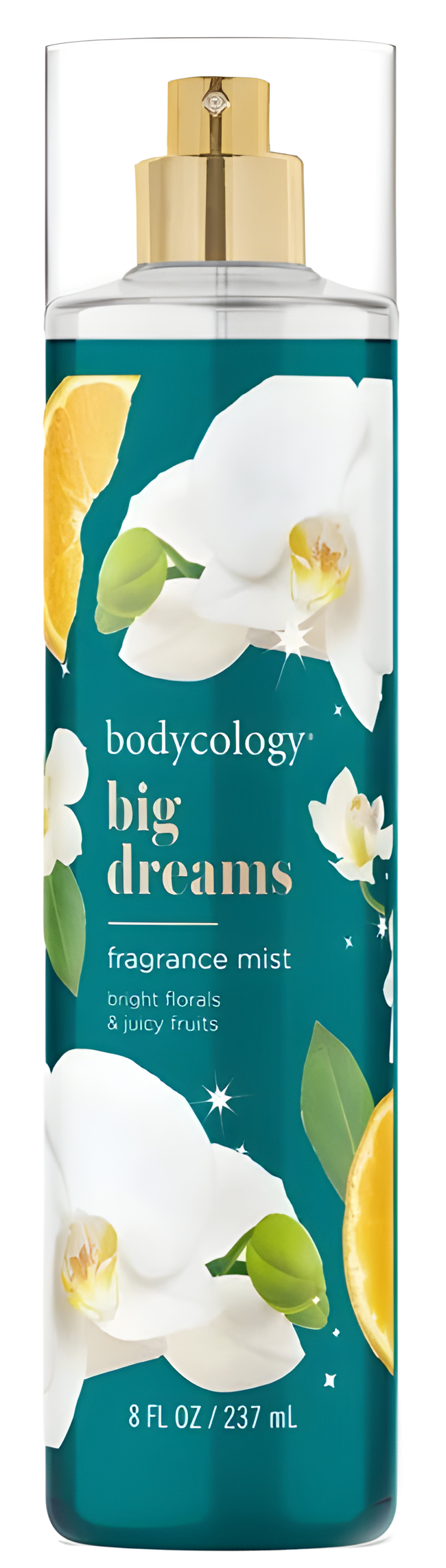Picture of Big Dreams fragrance