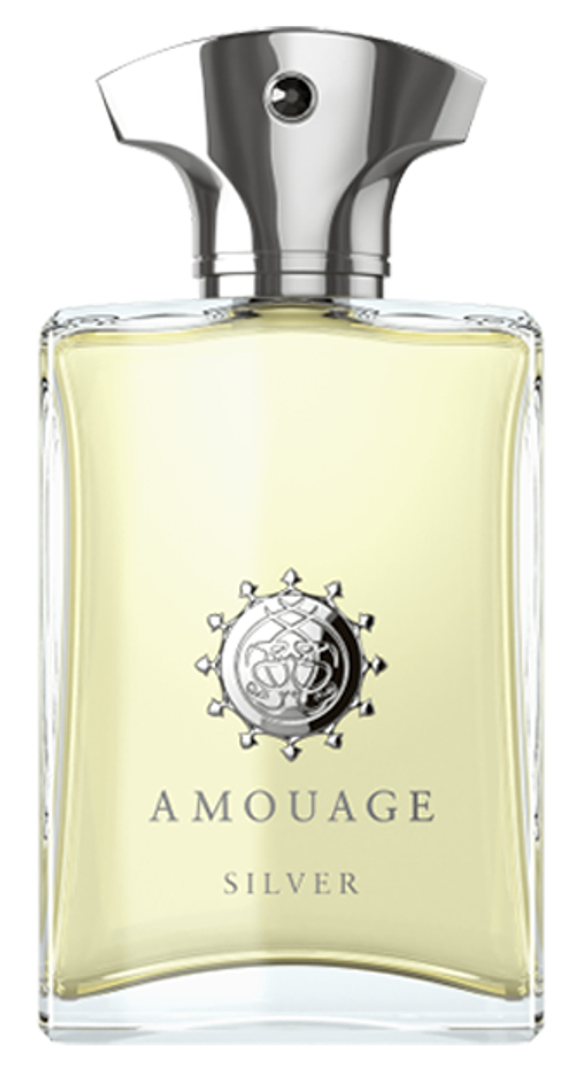 Picture of Silver Man fragrance