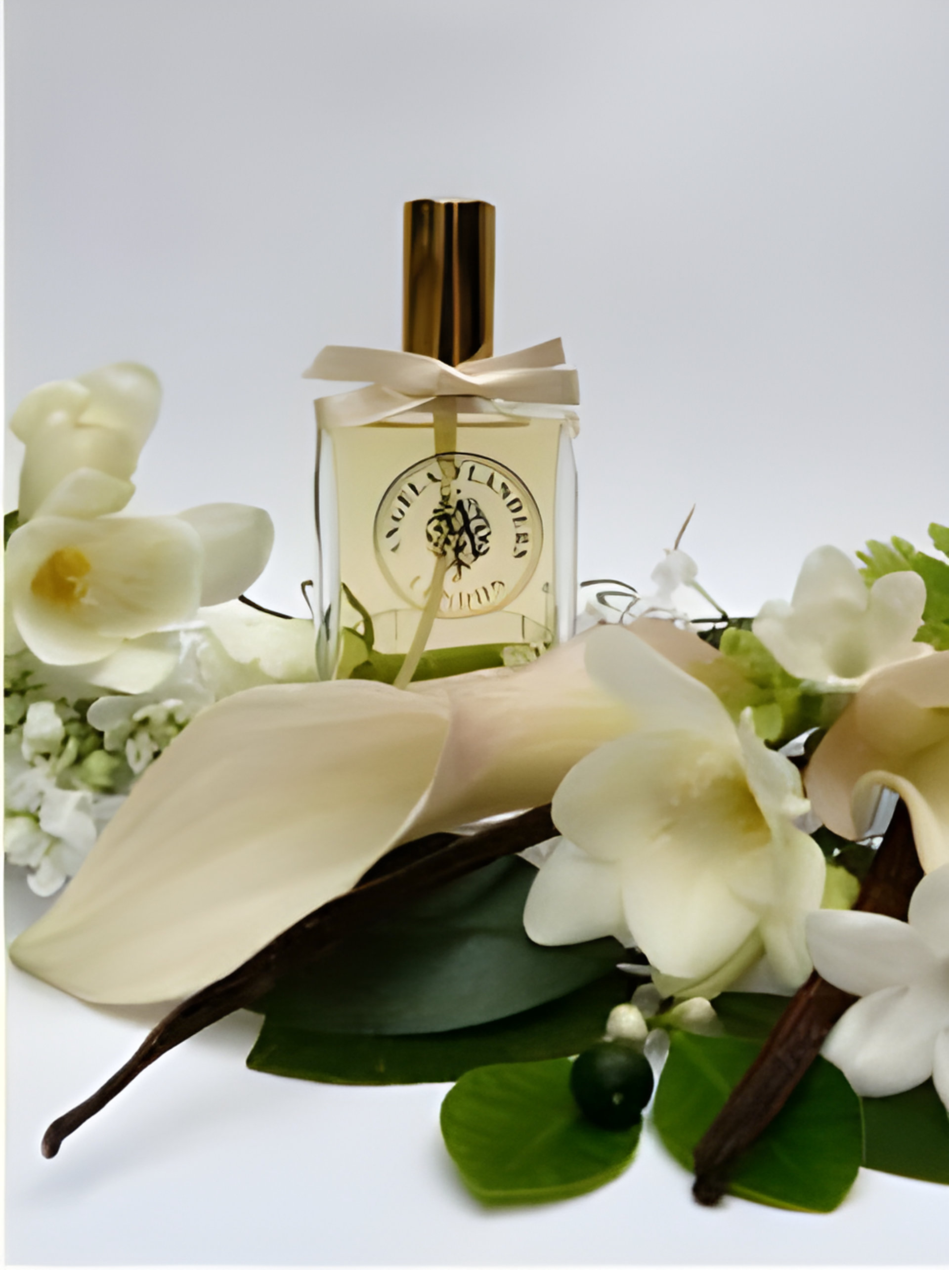 Picture of Bouquet d'Amour fragrance